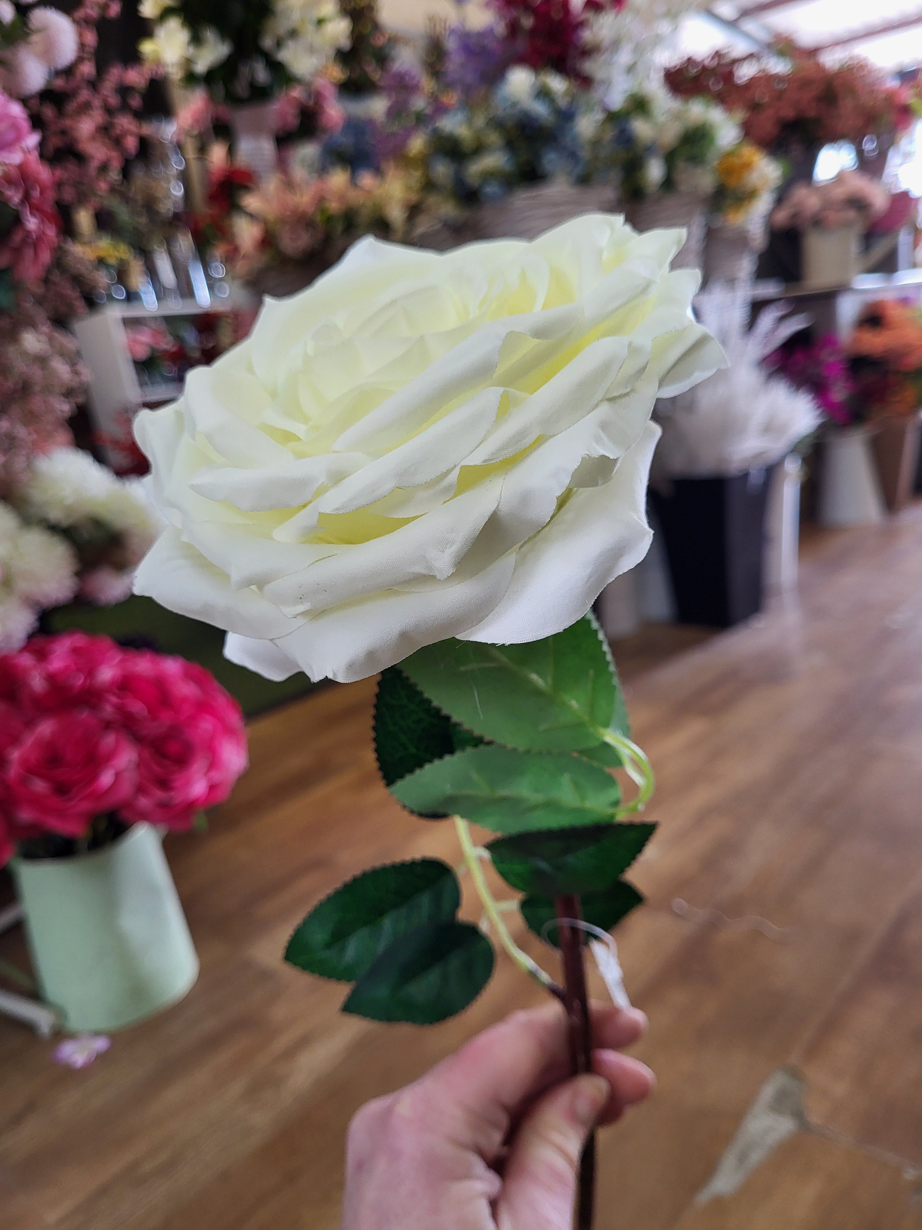 Long stem cream Marie rose image 1