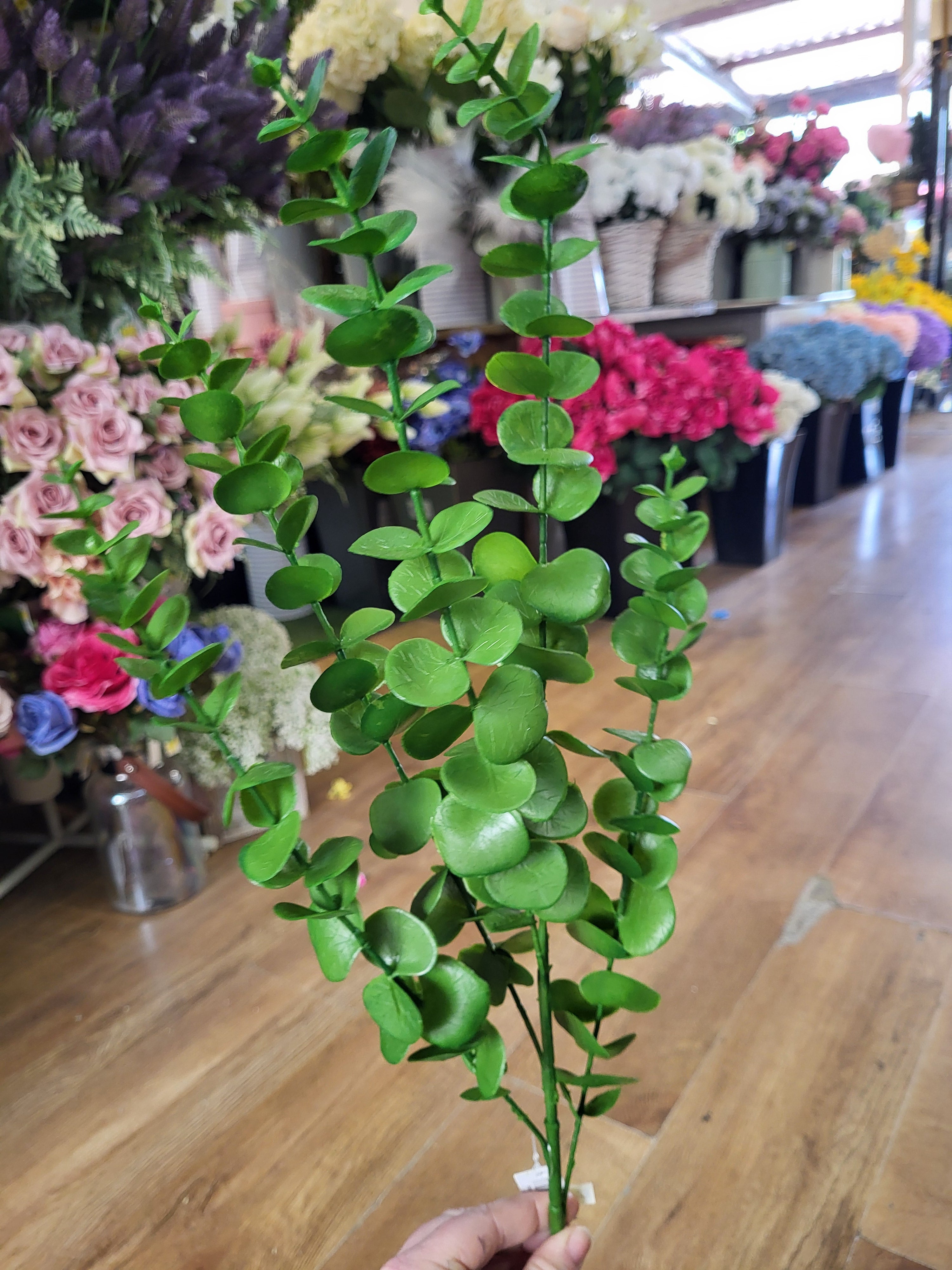 Long stem green eucalyptus  image 5