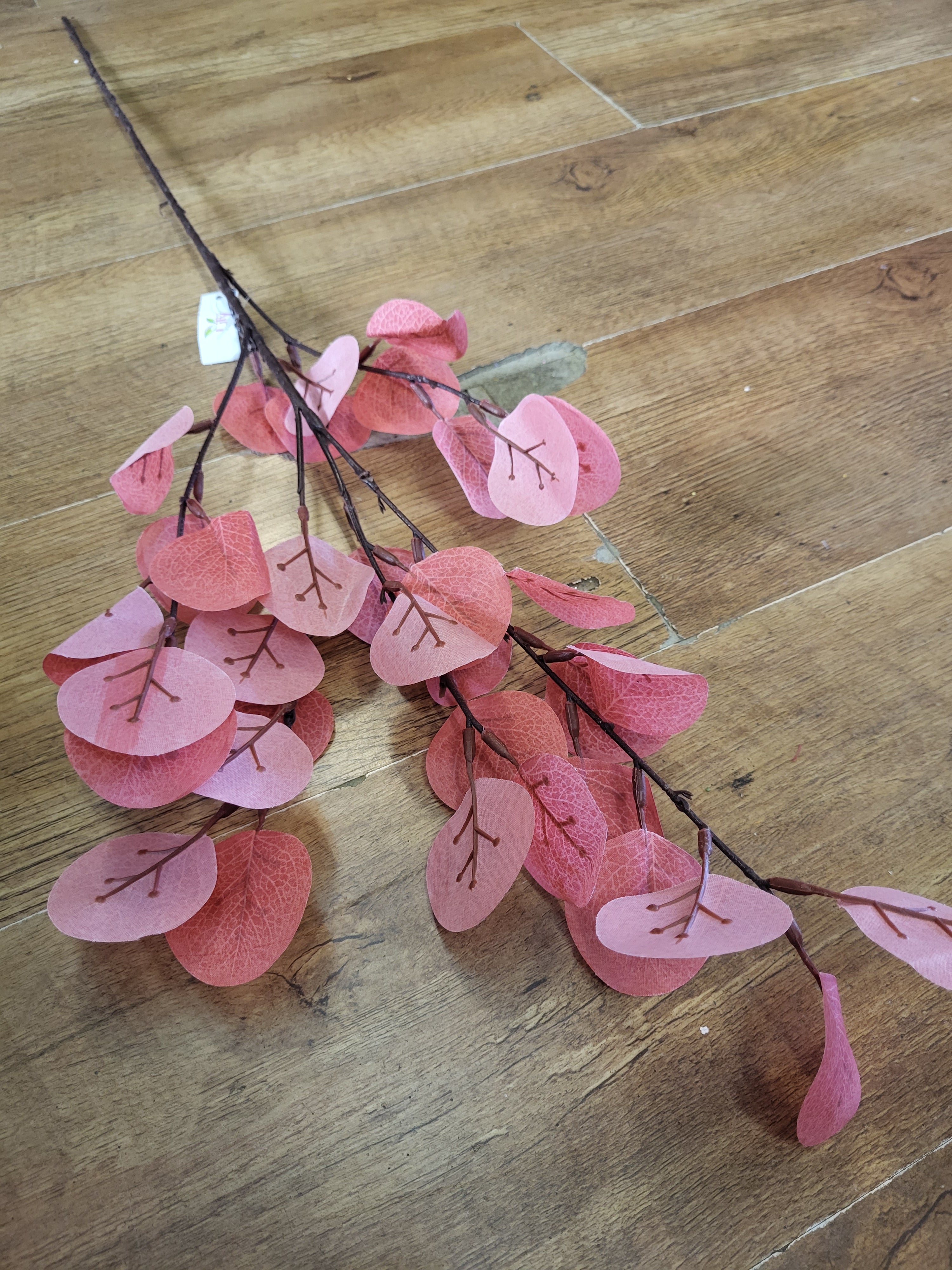 Long stem orangey/red eucalyptus spray image 2