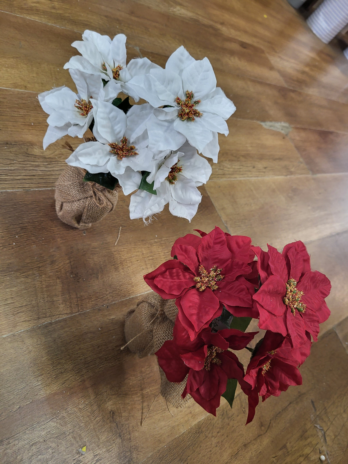 28cm poinsettia wrapped in burlap  - 2 colours available image 0