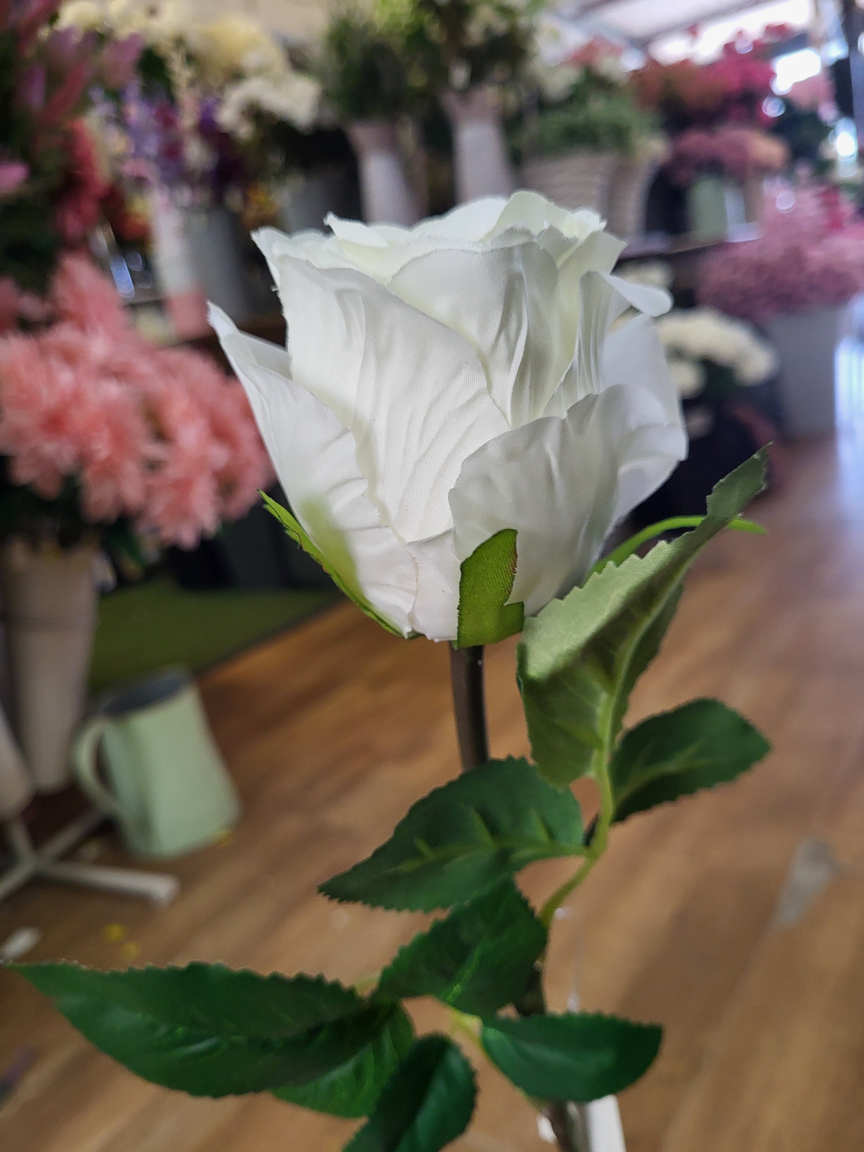 Ivory Lila Rose  image 2