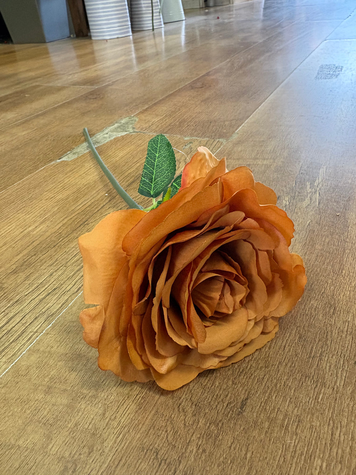 Medium length burnt orange Tudor rose