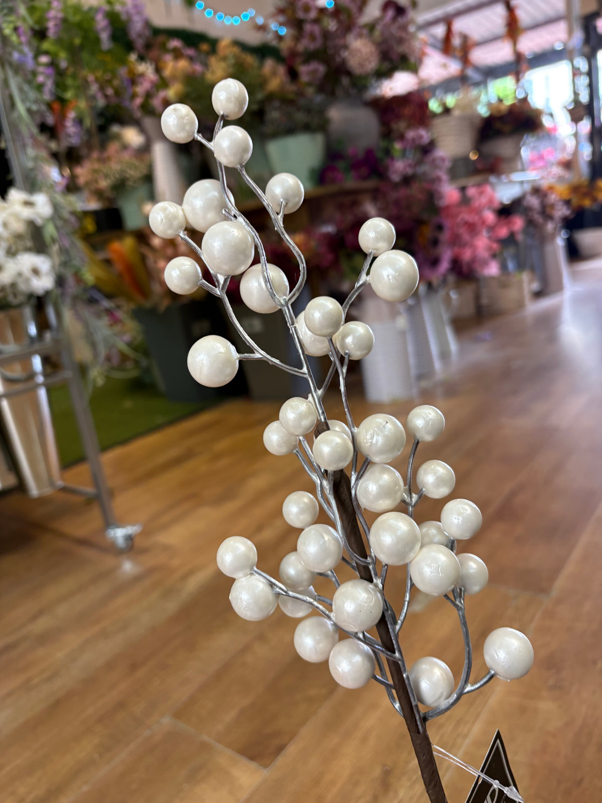Pearly white berry stem