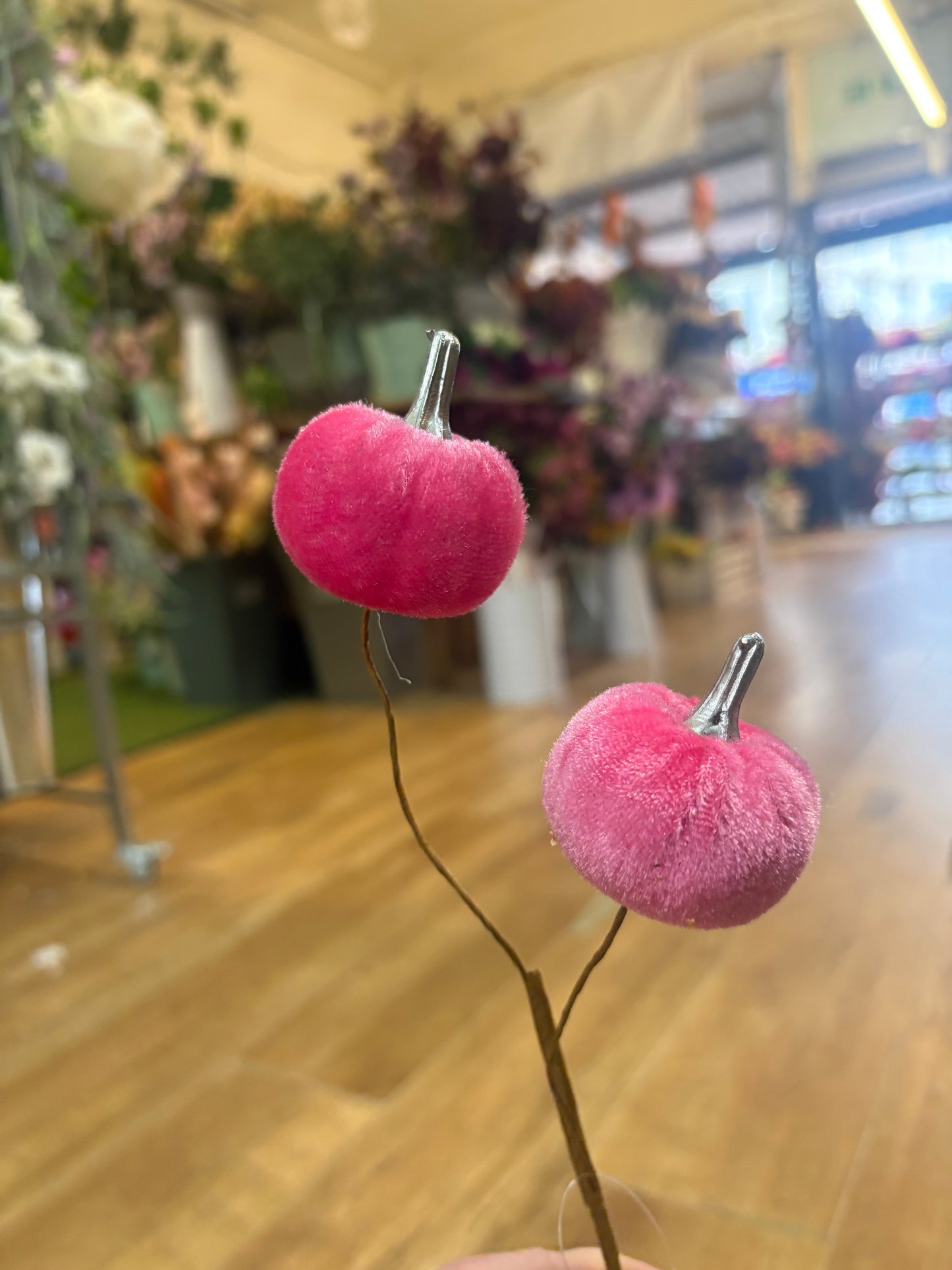 Pink velvet pumpkin stem