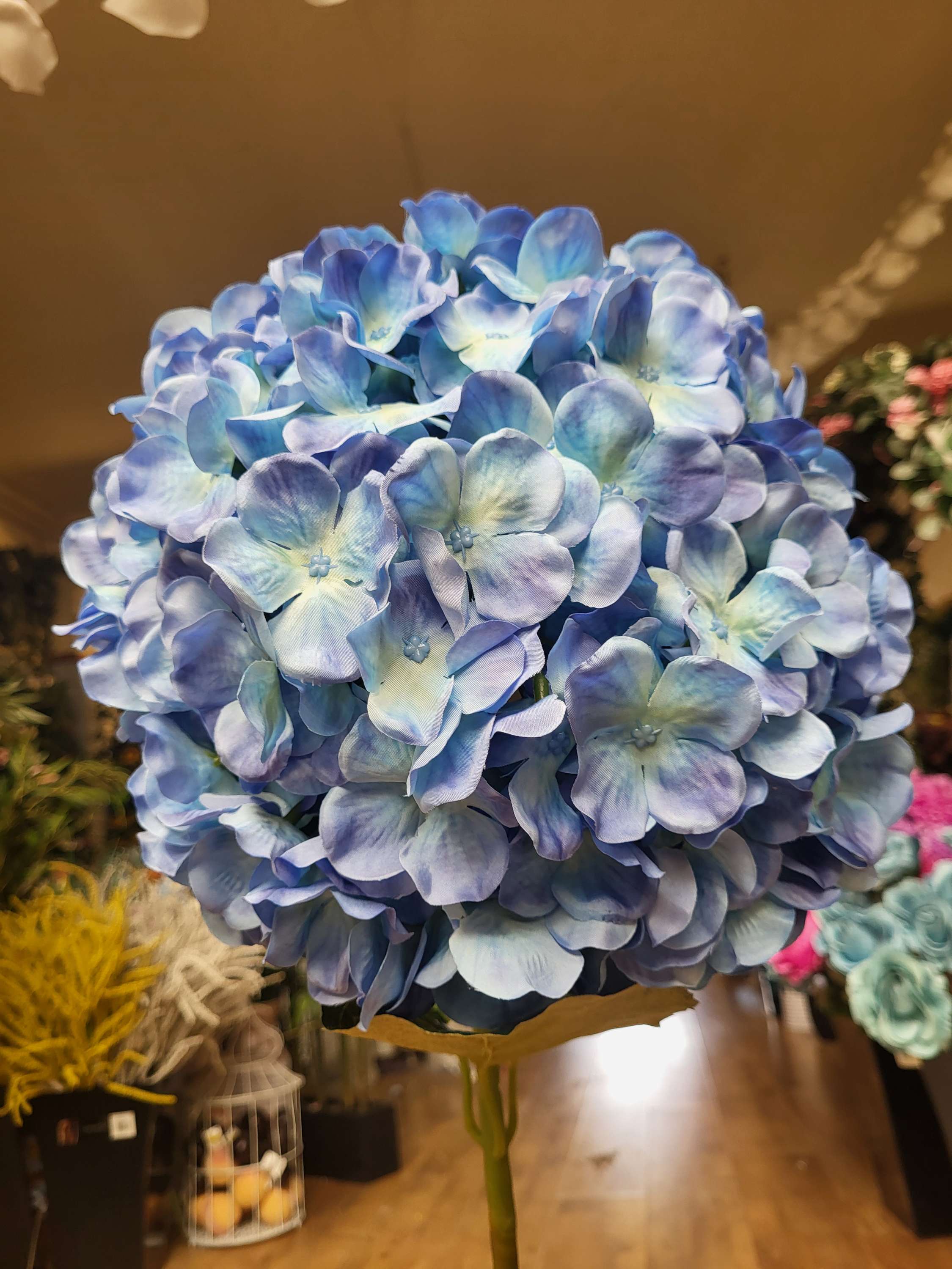 Giant head Ocean Blue premium hydrangea  image 0