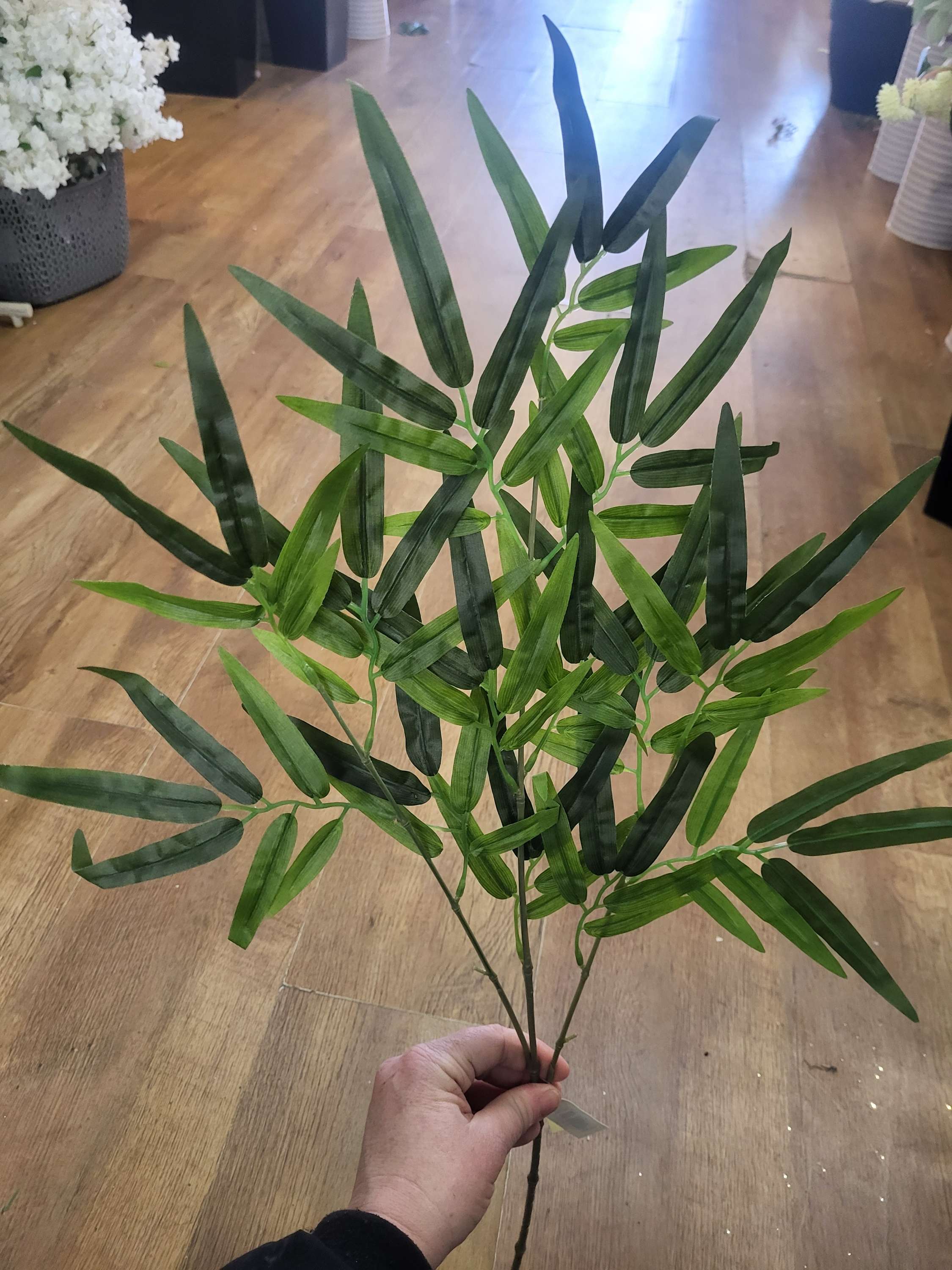 Bamboo leaf spray image 3