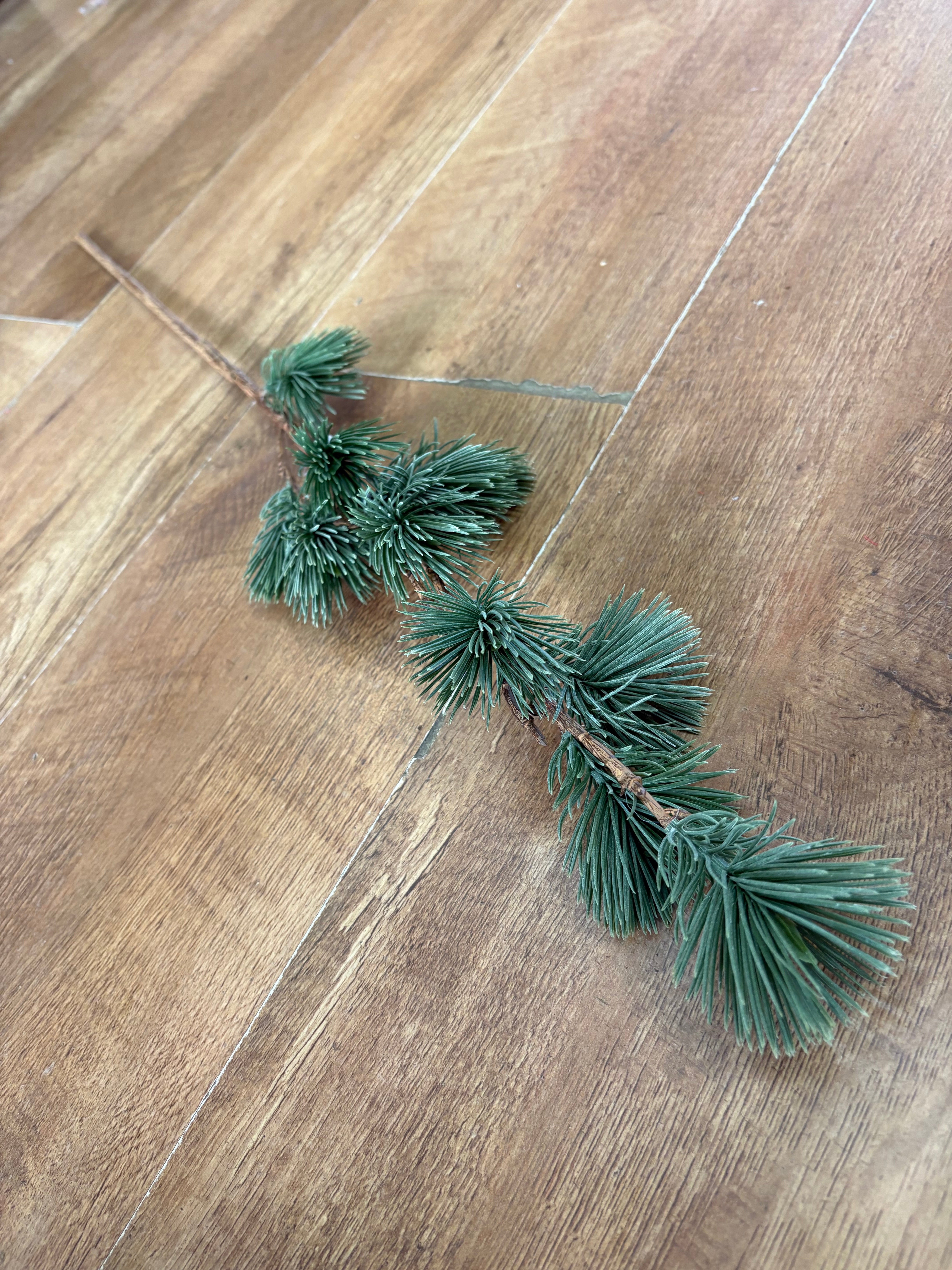 Long stem round cedar pine spray