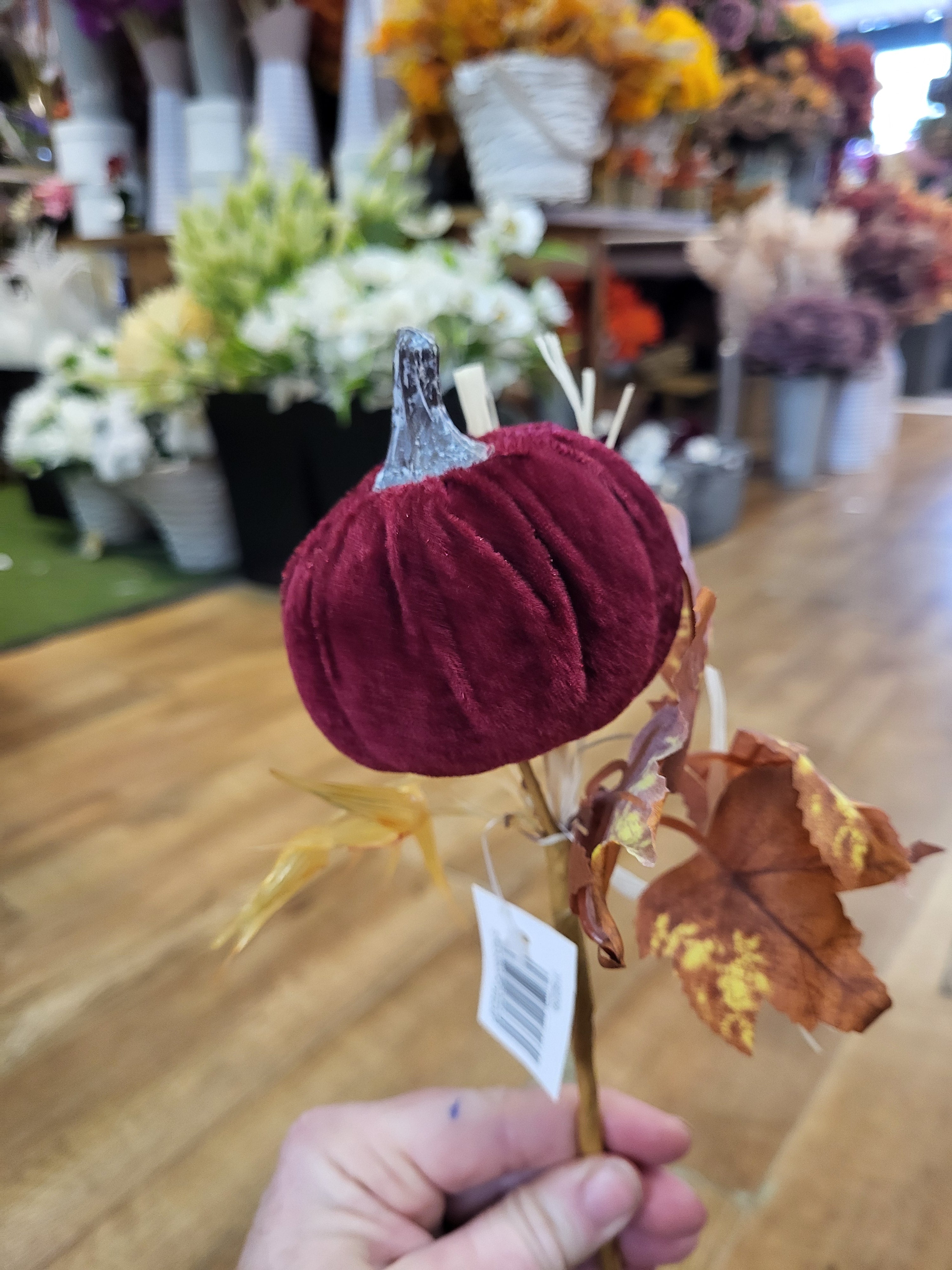 Medium Burgundy Velvet pumpkin stem  image 1