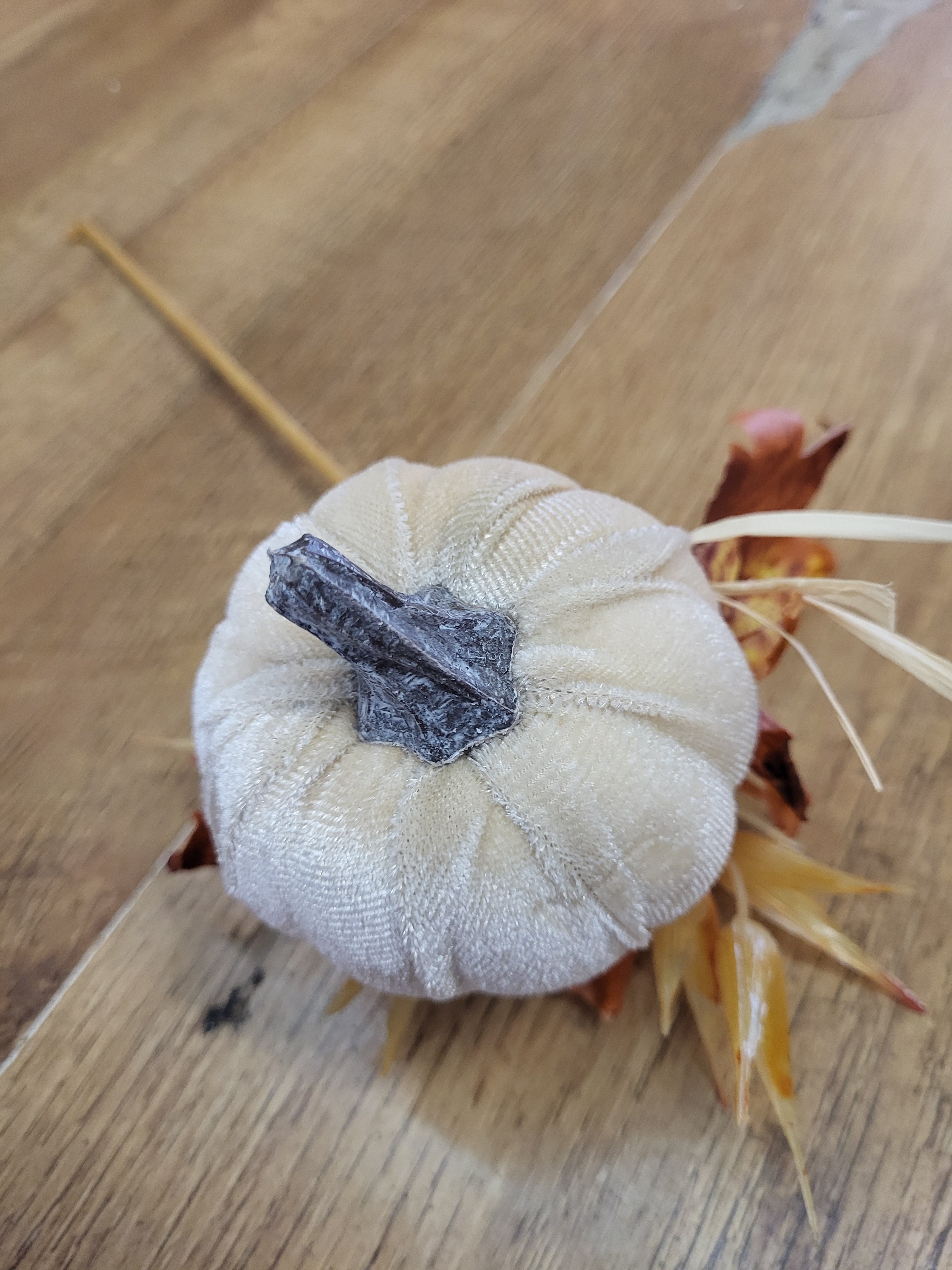 Medium cream velvet pumpkin stem  image 1