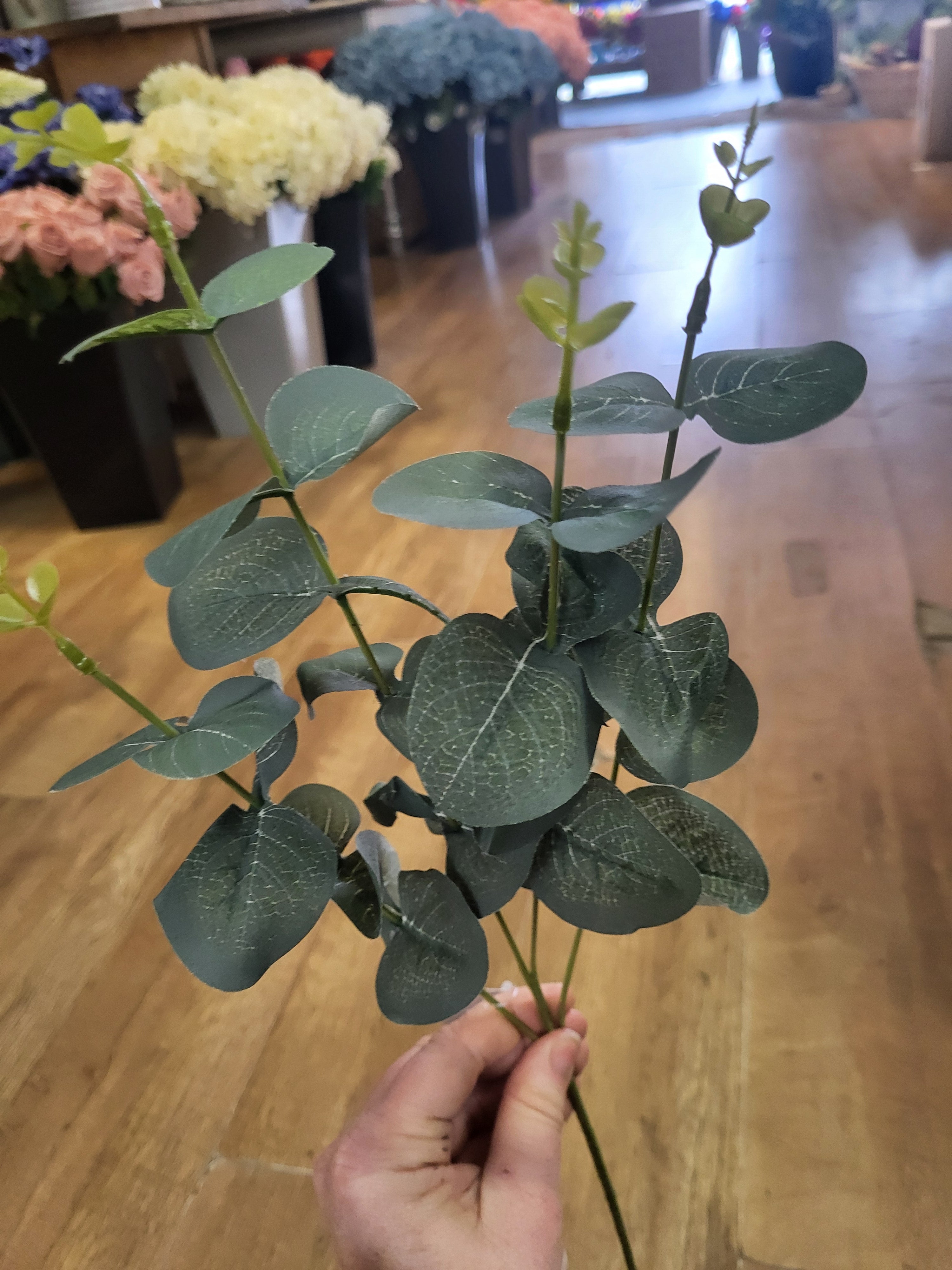 Long stem eucalyptus  - 3 shades available image 6
