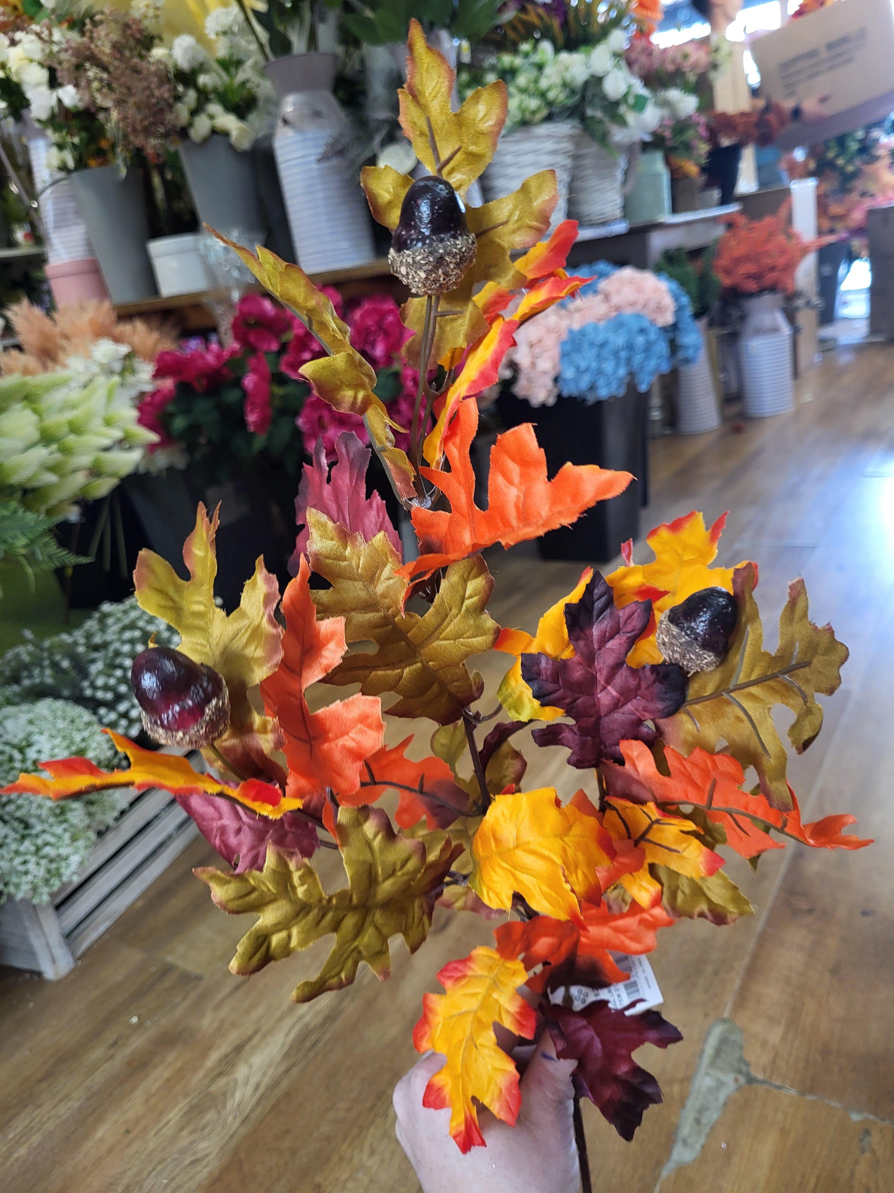 Long stem burgundy/green/orange acorn spray  image 1