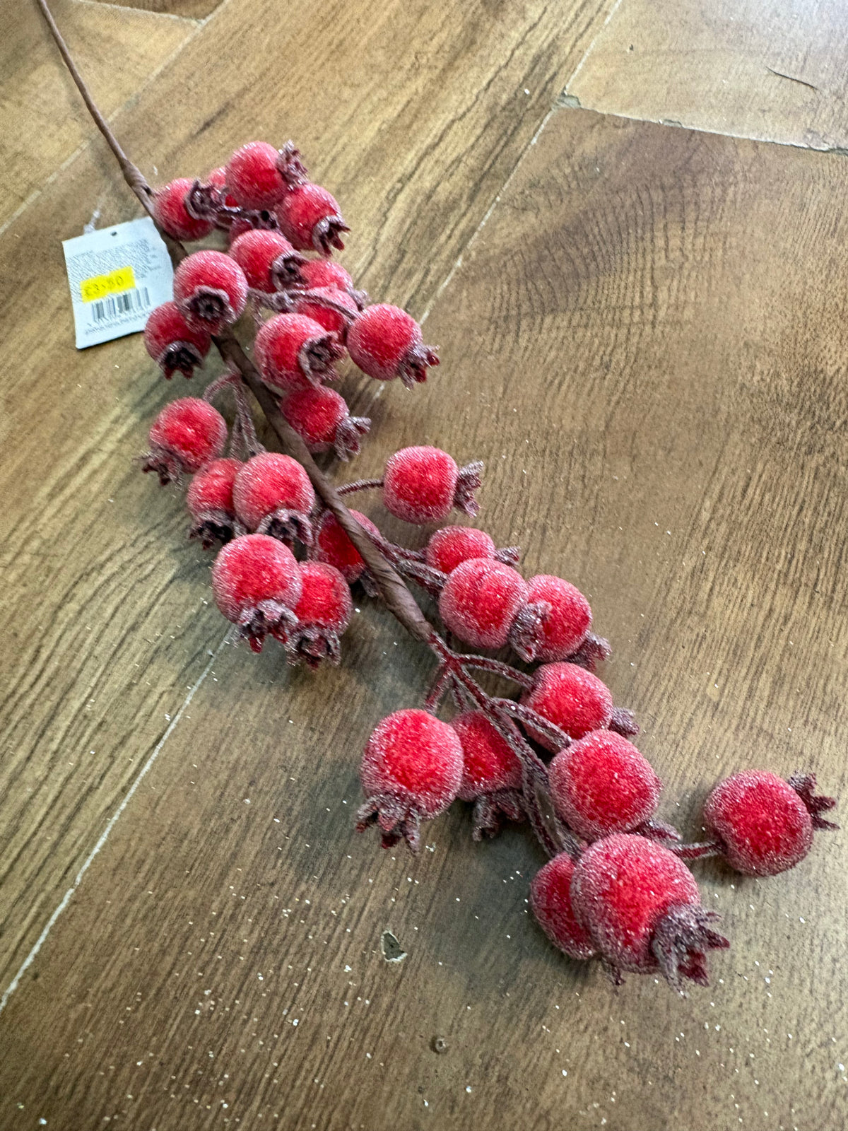 Long stem frosted rose hip stem