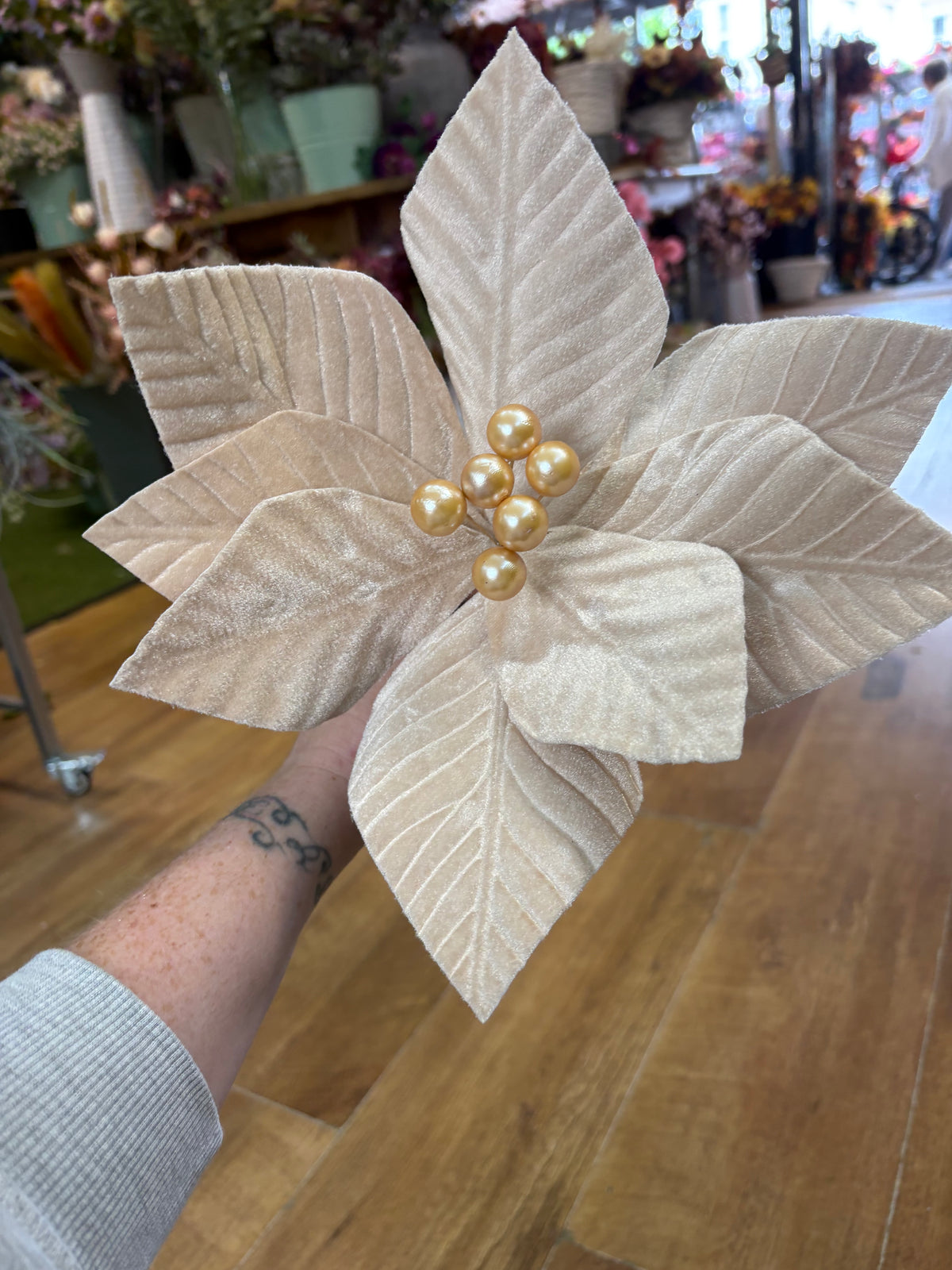 Short stem nude velvet single poinsettia