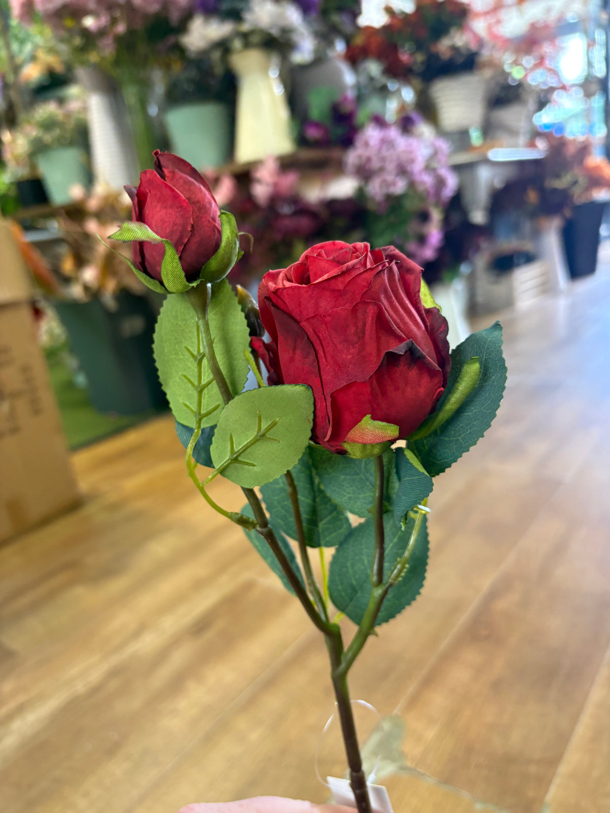 Dried inspired red single Gemini rose