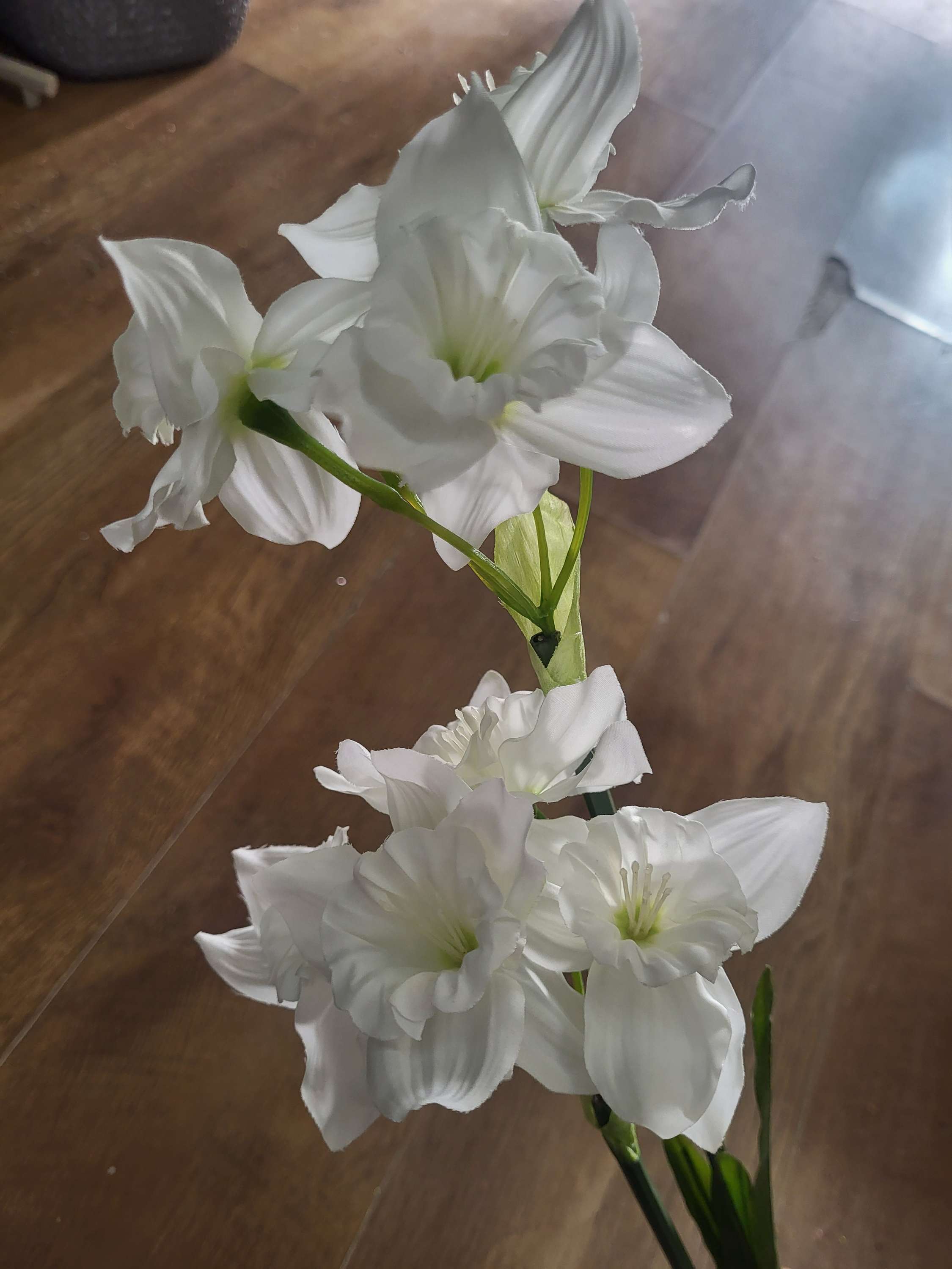 Long stem white ruffled daffodil spray image 4