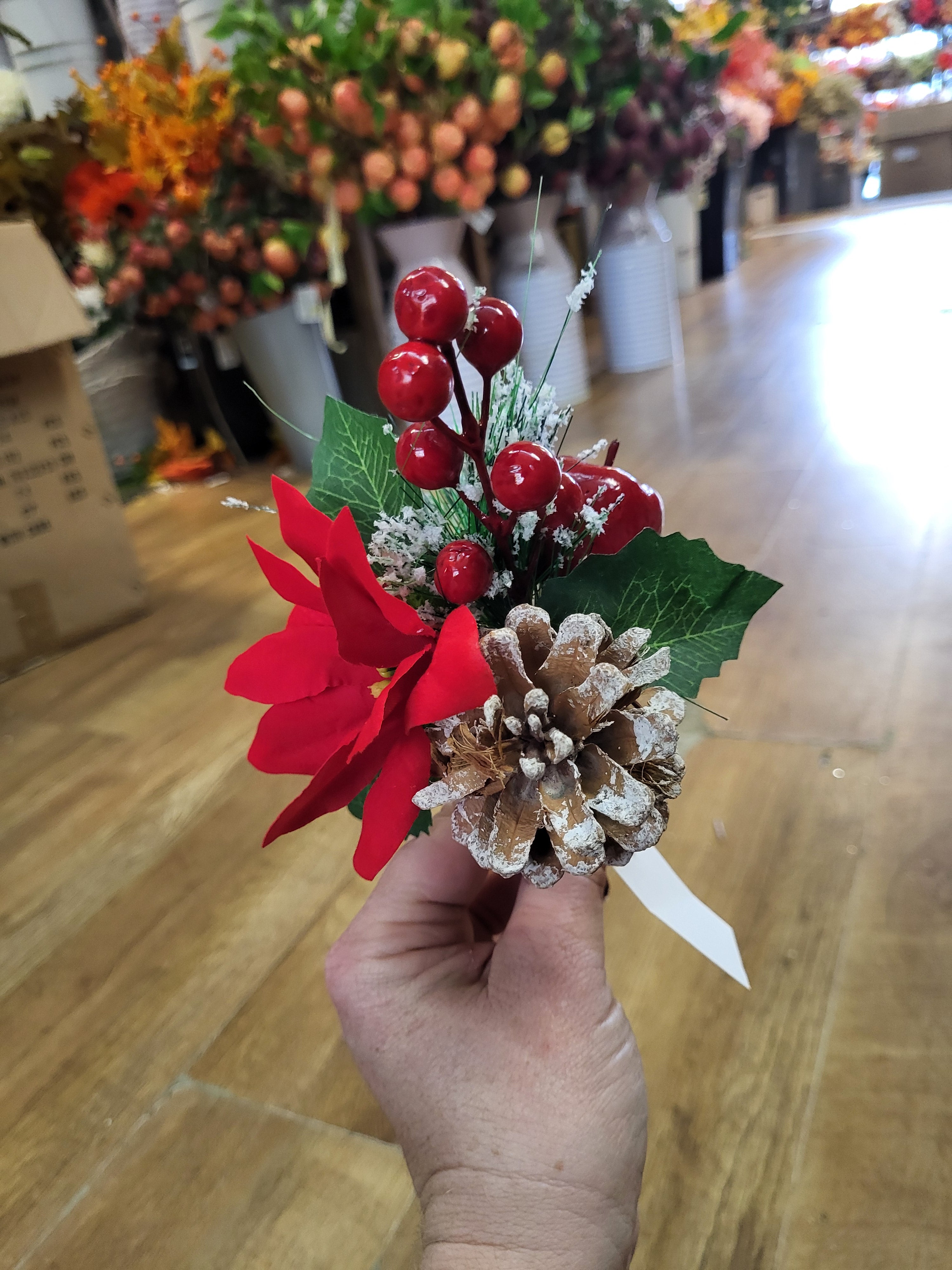 Poinsettia and apple pick image 2