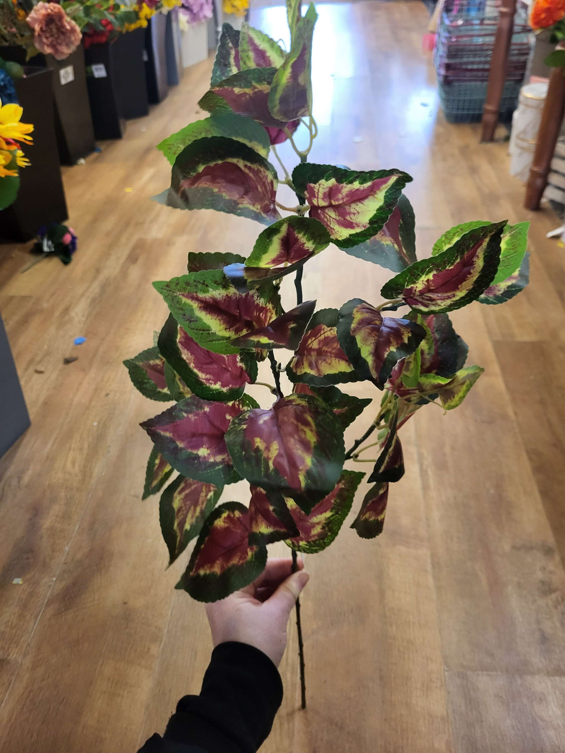 Long stem coleus leaf spray image 1