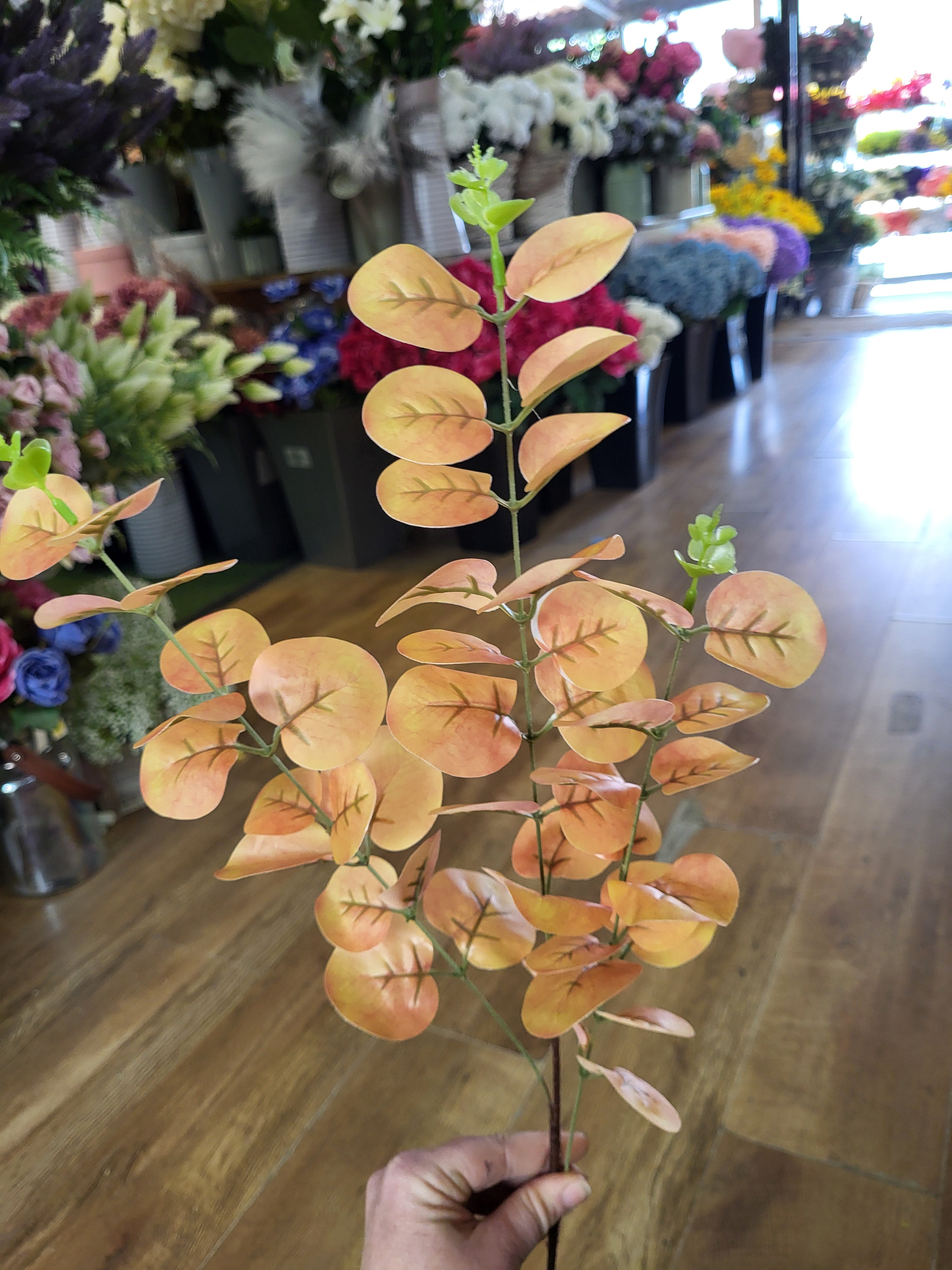 Long stem orange/yellow eucalyptus spray image 2