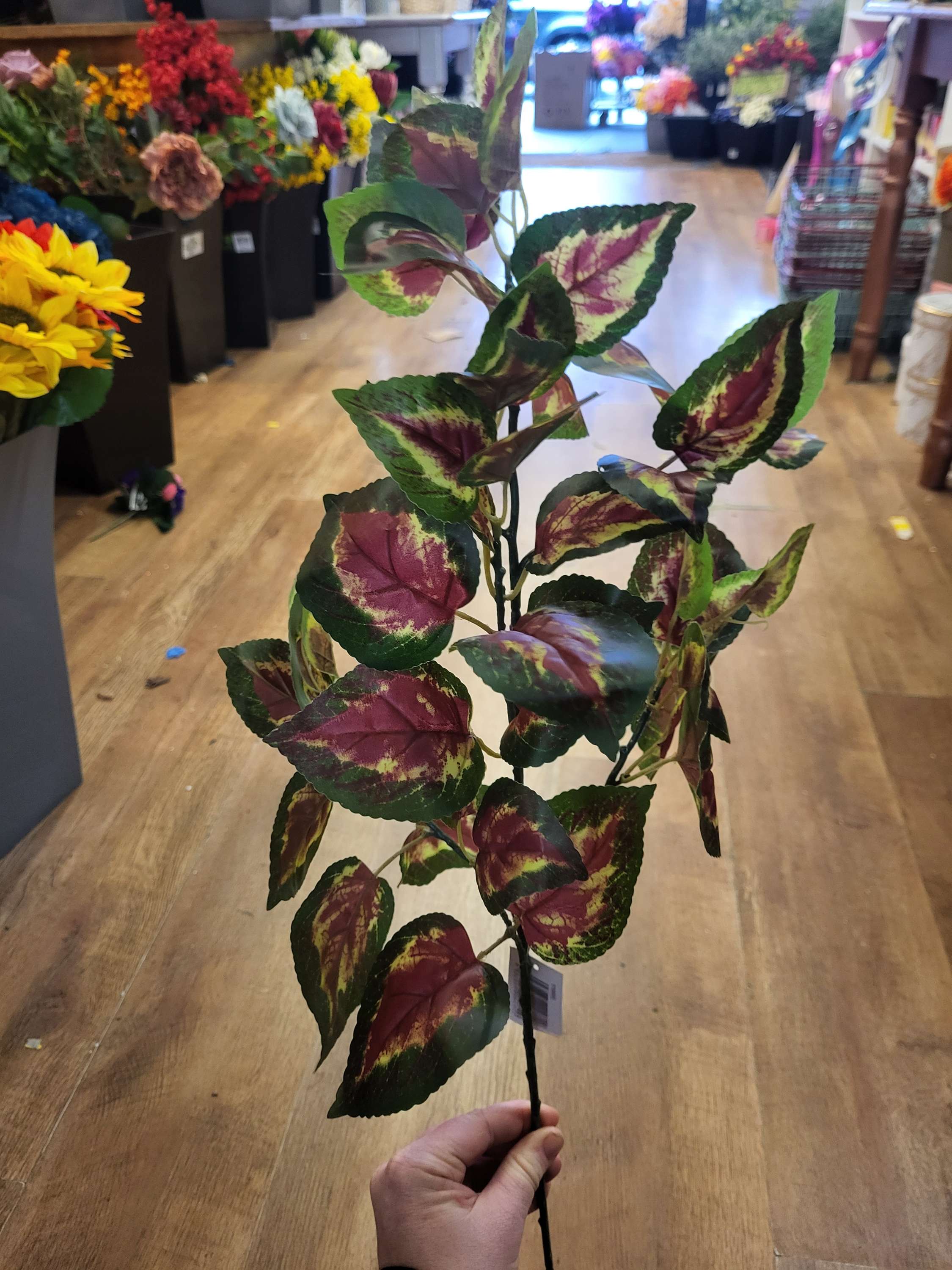 Long stem coleus leaf spray image 3