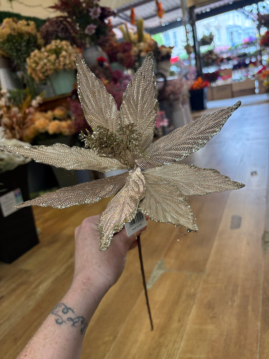 Single champagne glittered poinsettia