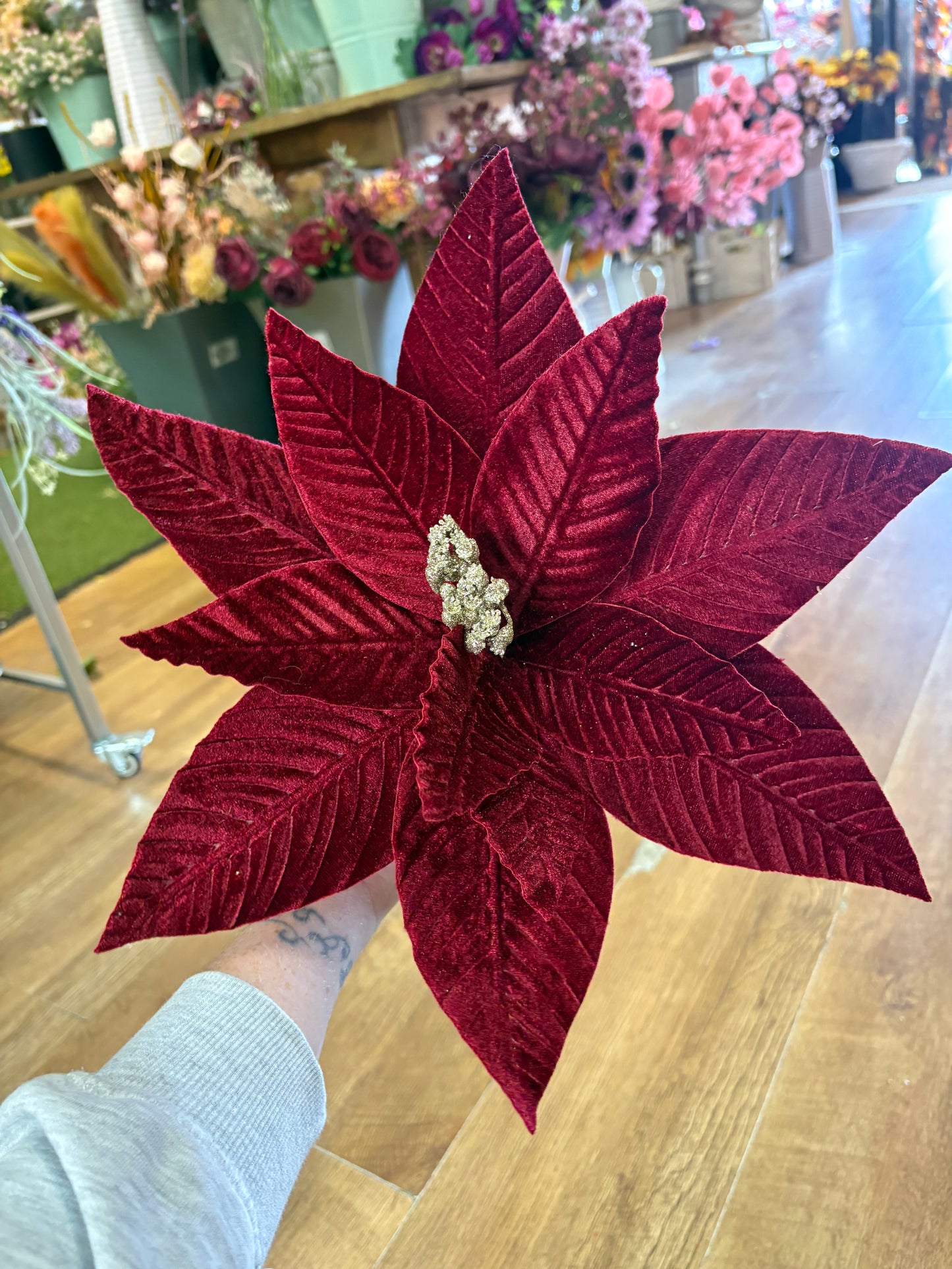Large burgundy velvet single poinsettia