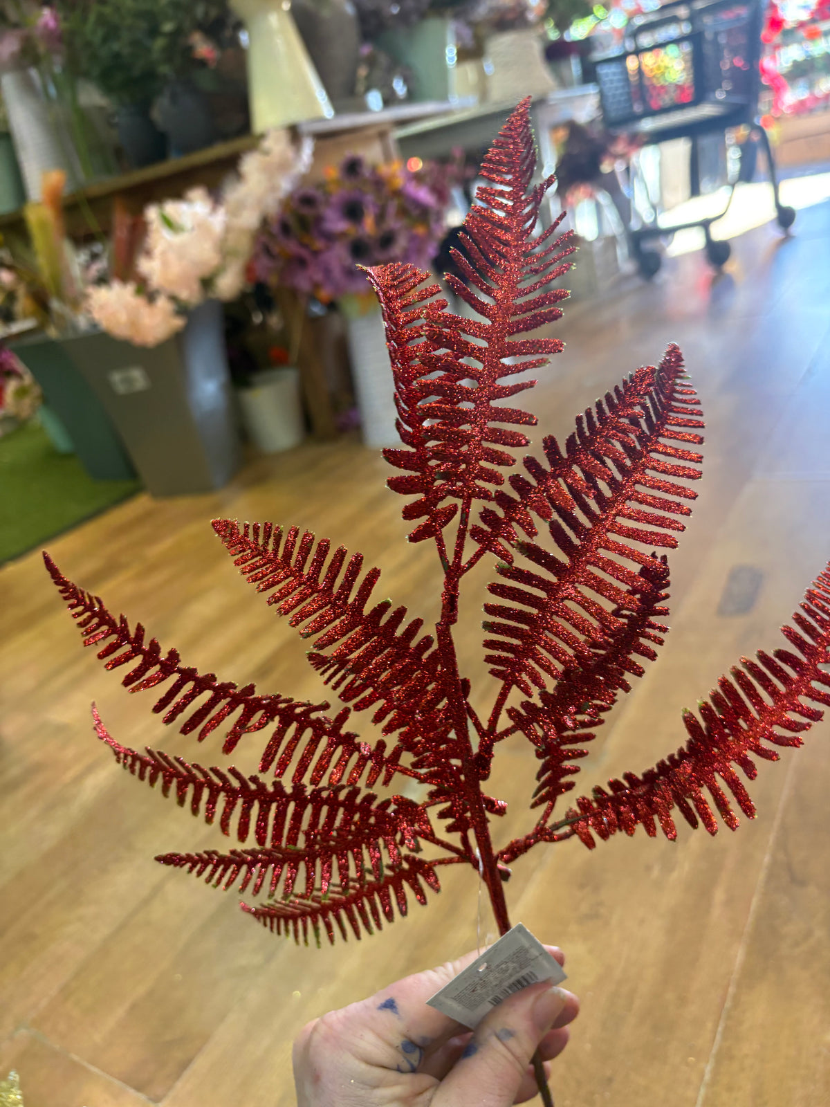 Glittered red fern stem