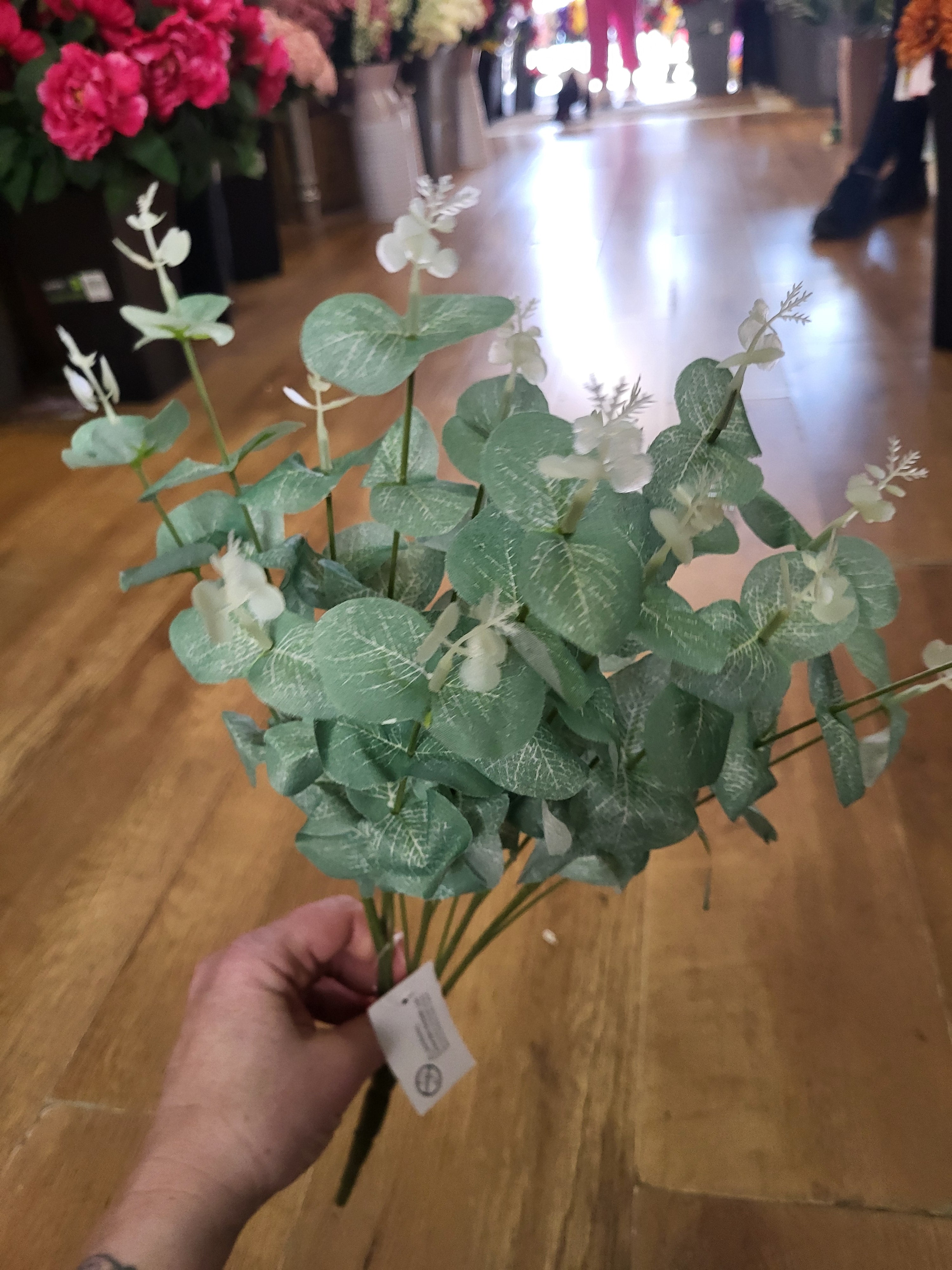 Big bunch green eucalyptus  image 1