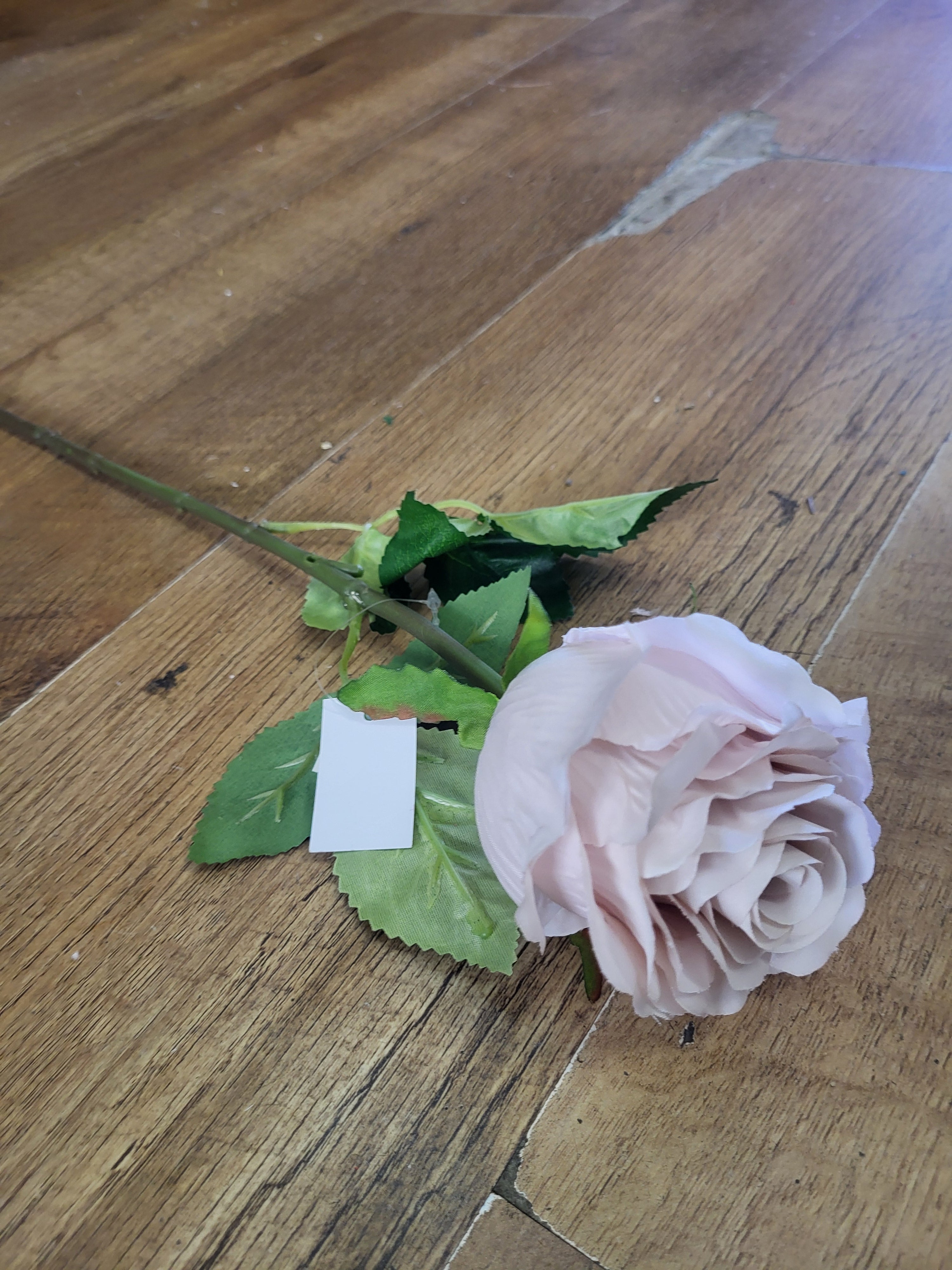 Nude Lila Rose  image 0