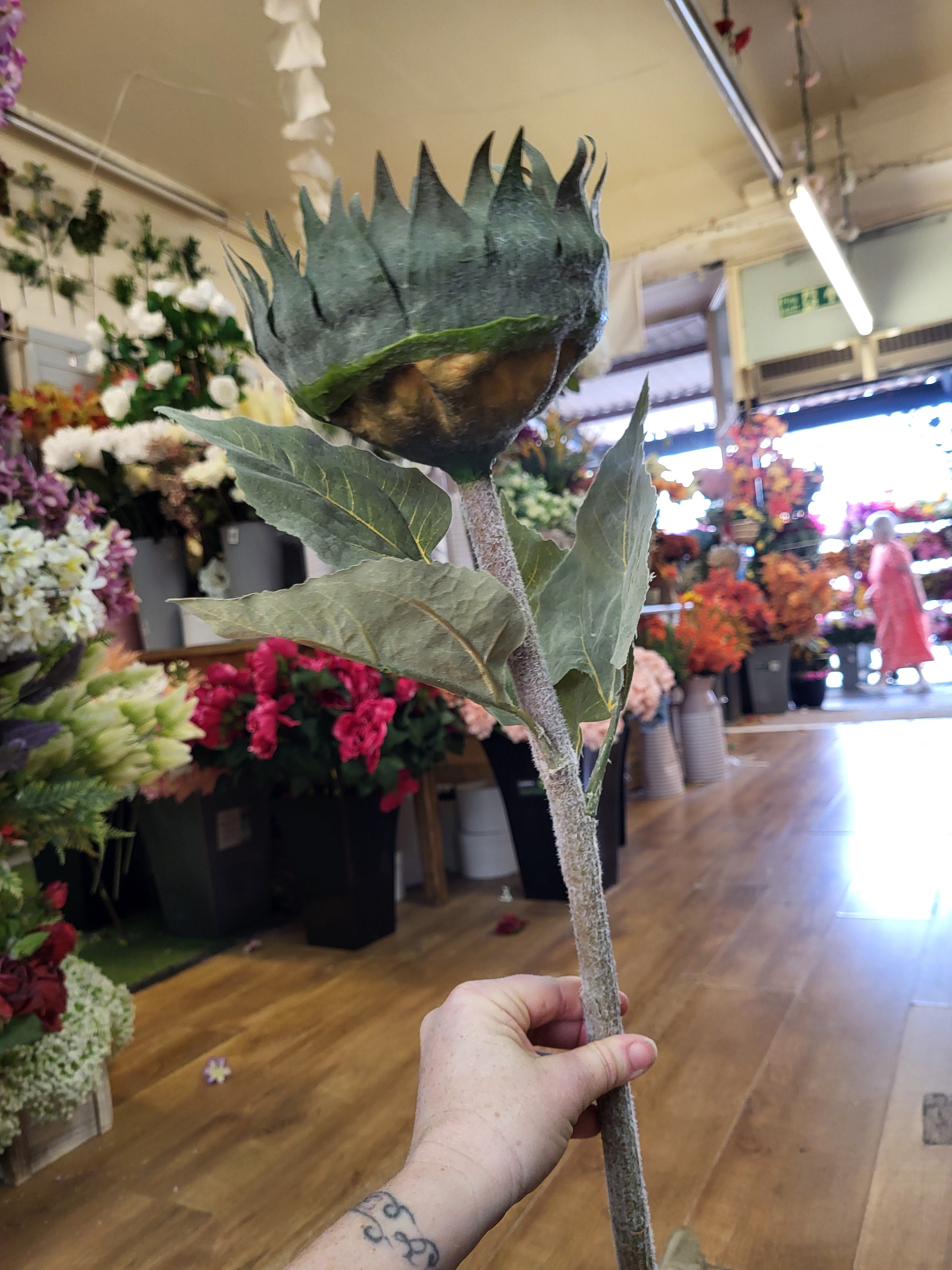 Long stem dried inspired large headed sunflower  image 6