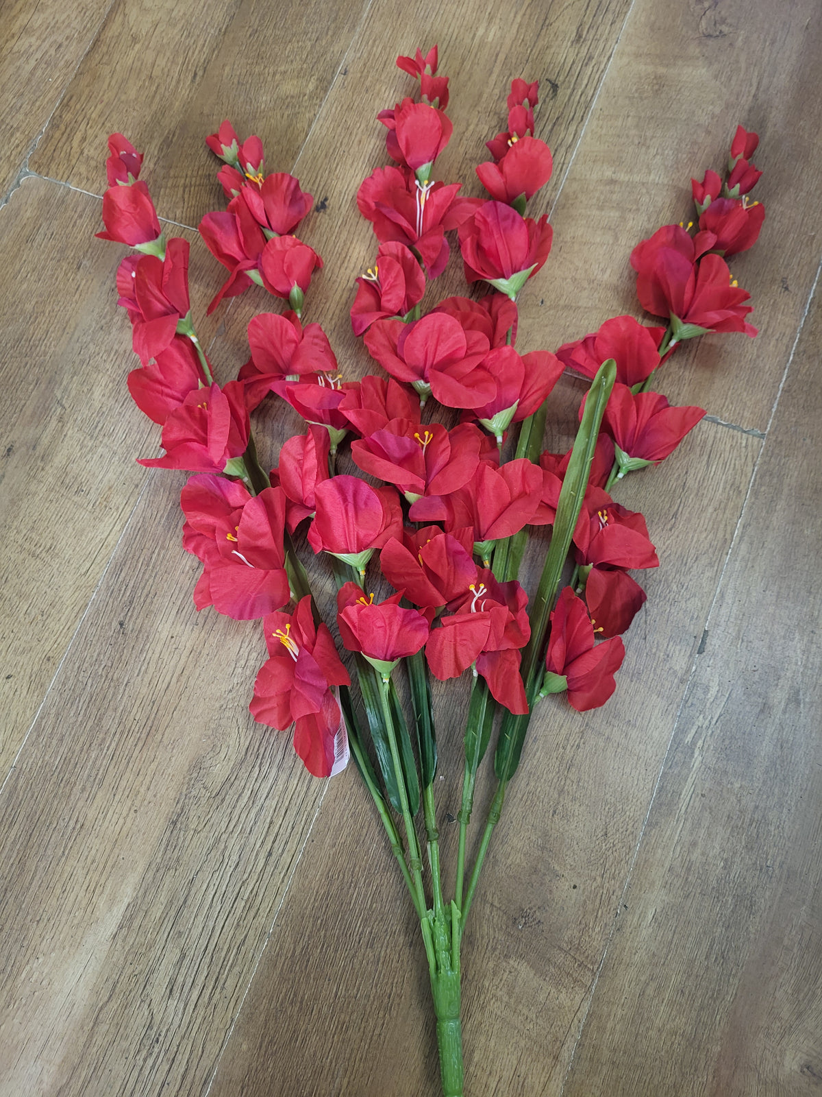 Large 5 stemmed bunch of red gladioli image 1