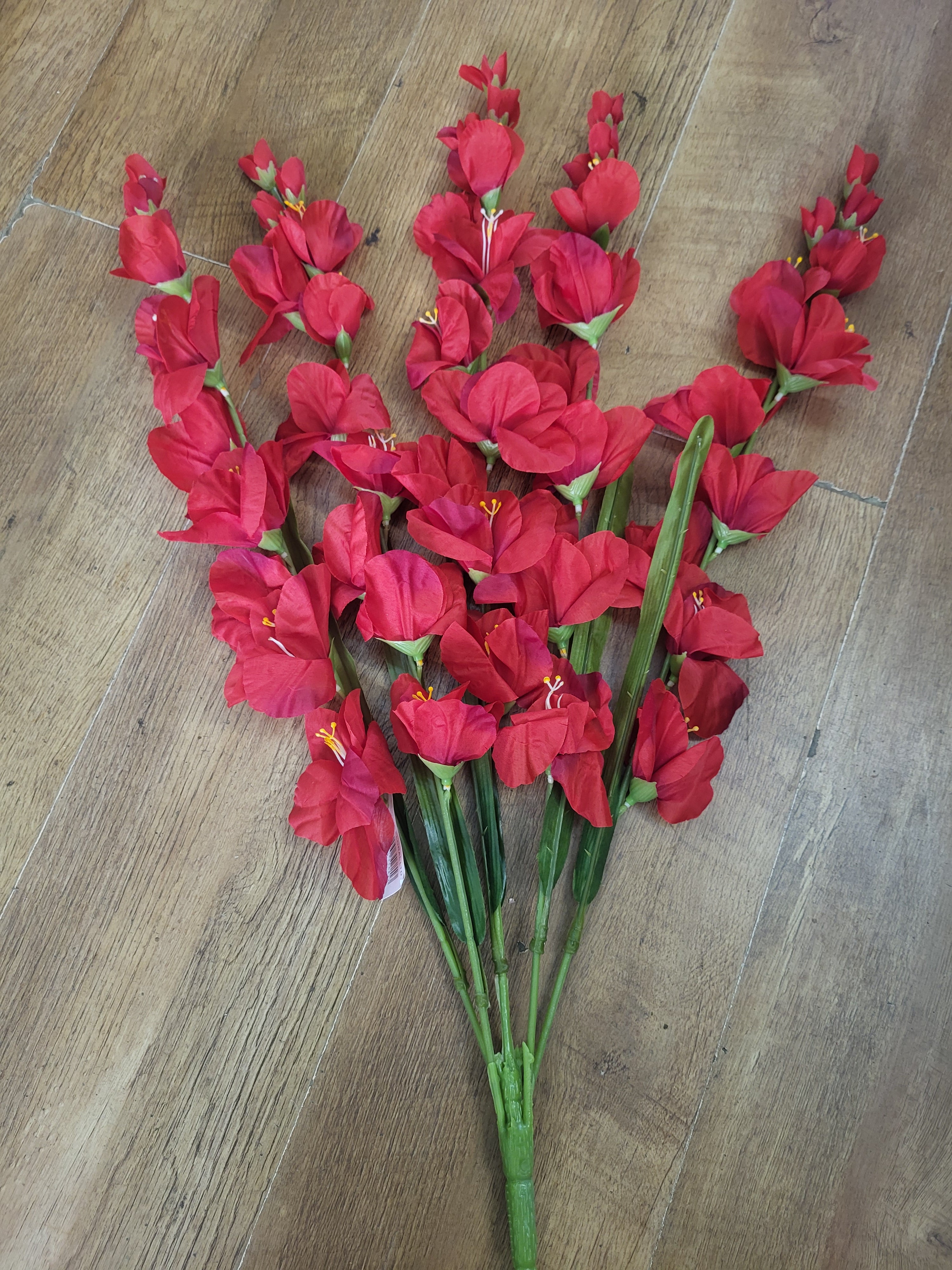 Large 5 stemmed bunch of red gladioli image 1