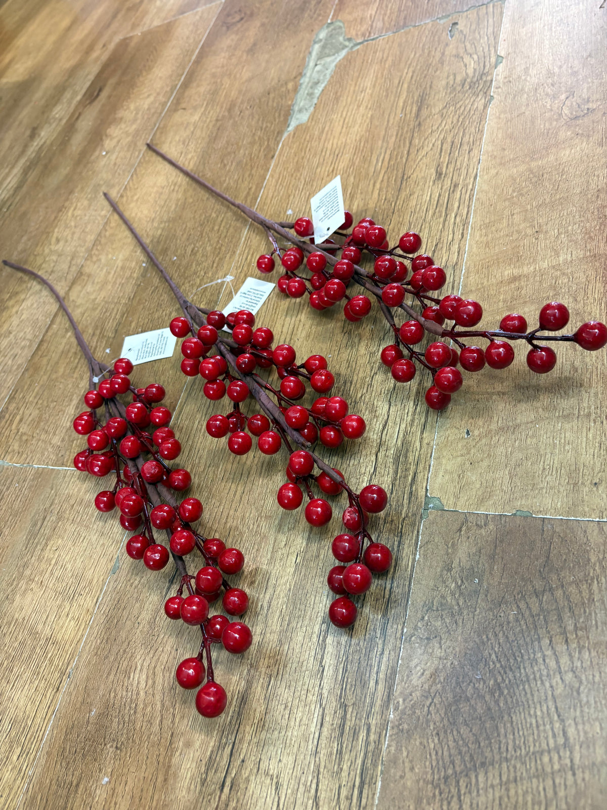 Bundle of 3 red berry stems