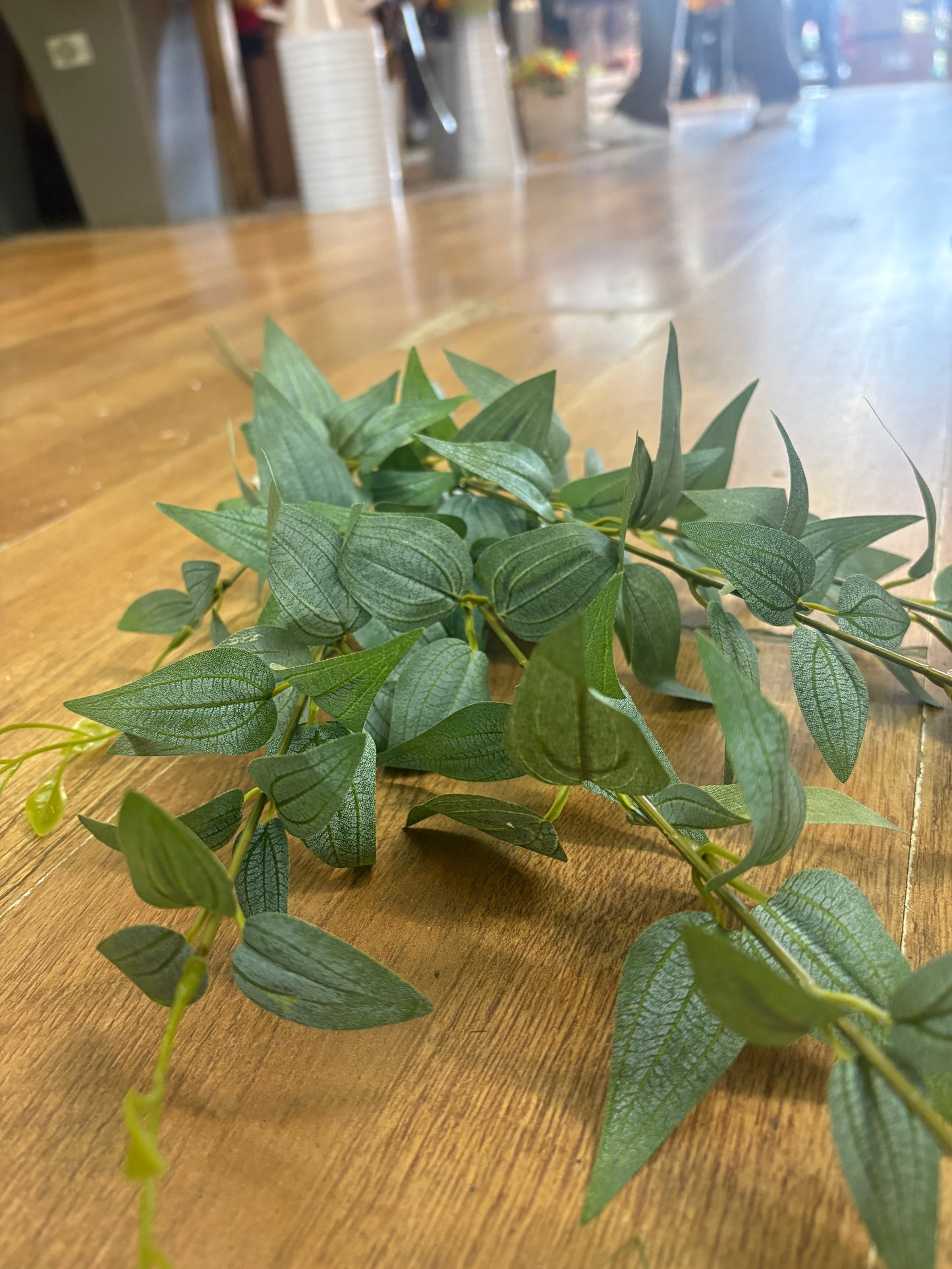 Long stem natural green Italian ruscus spray