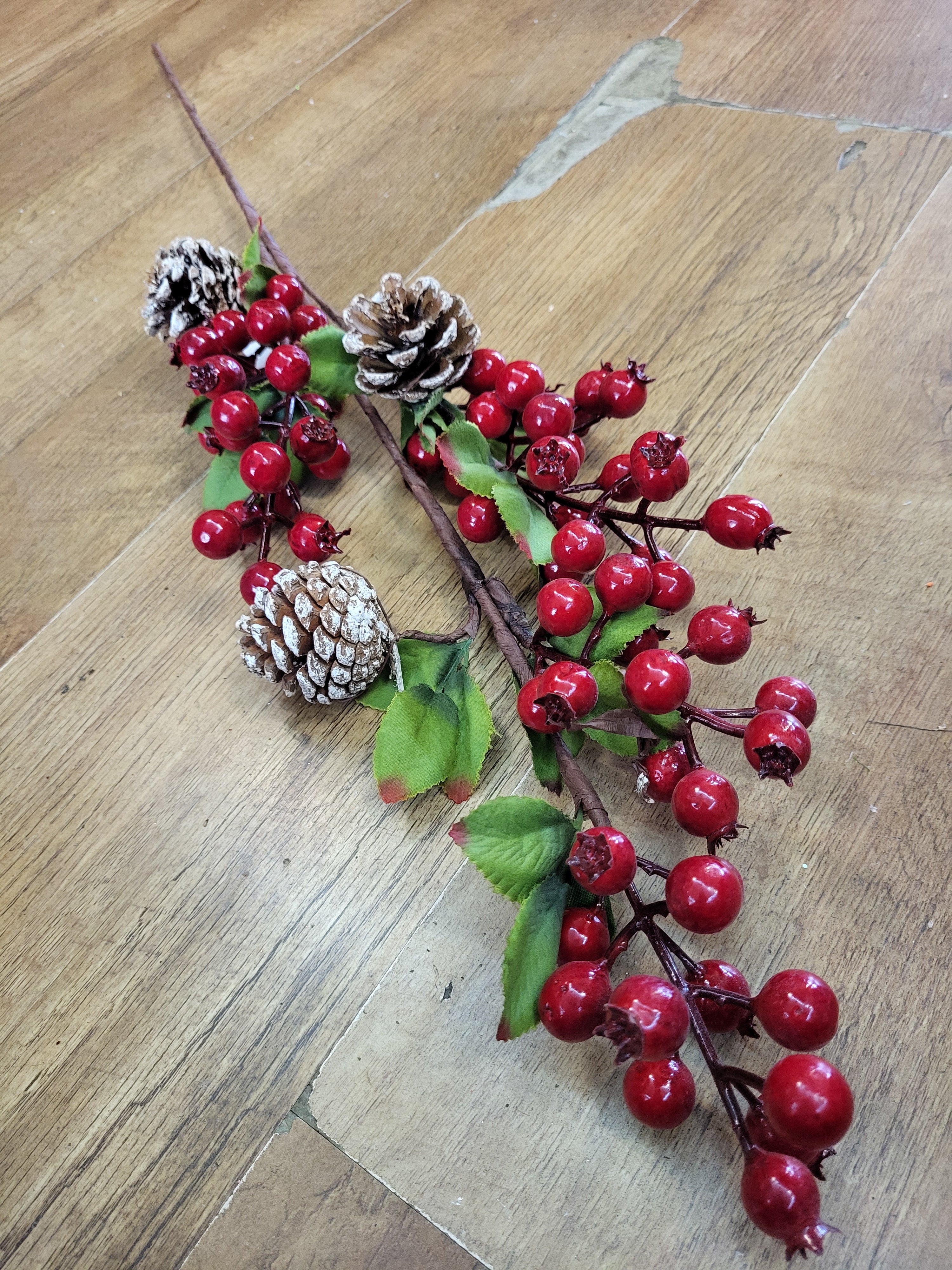 Long stem red berry and cones branch image 1