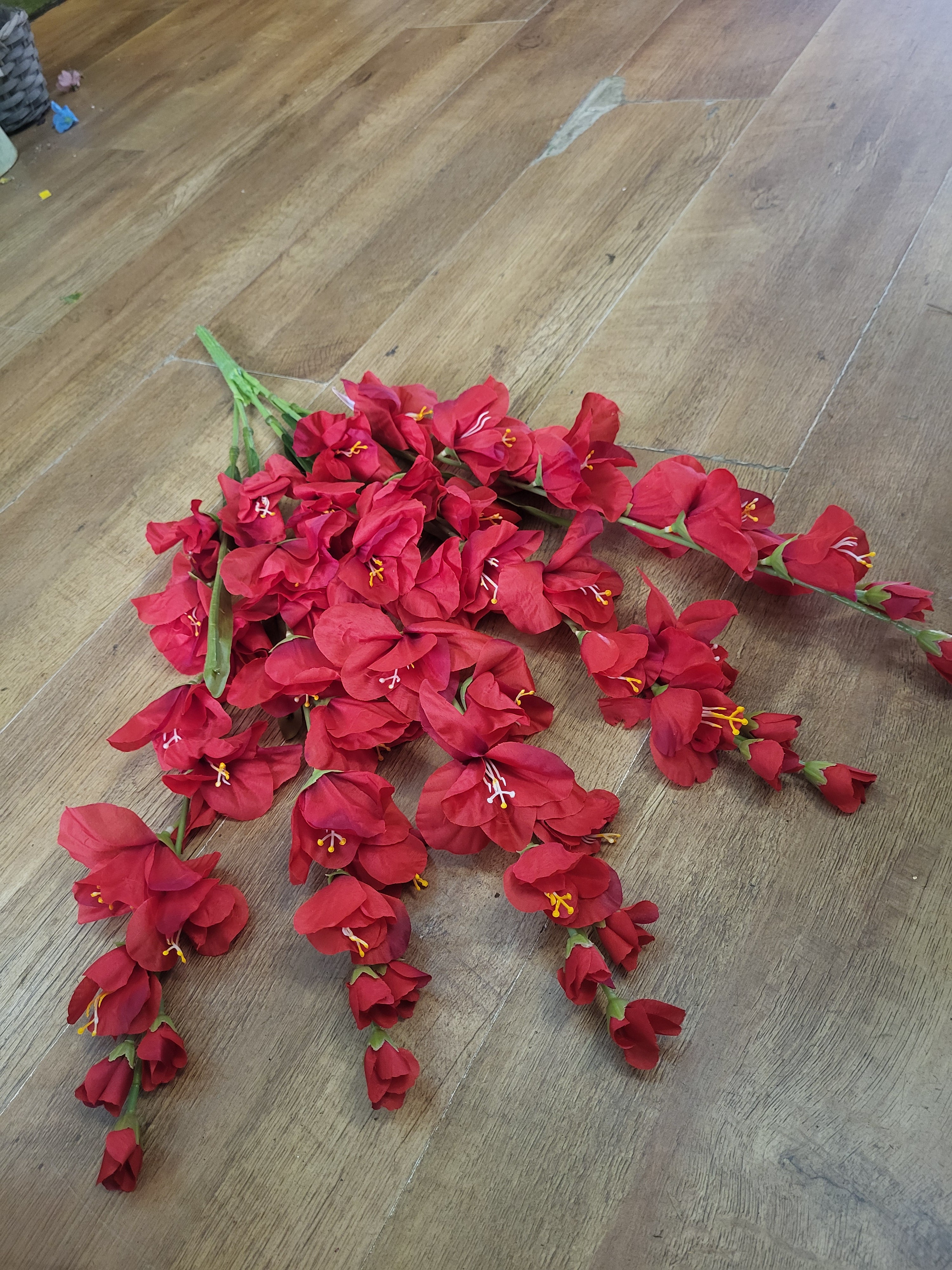 Large 5 stemmed bunch of red gladioli image 2
