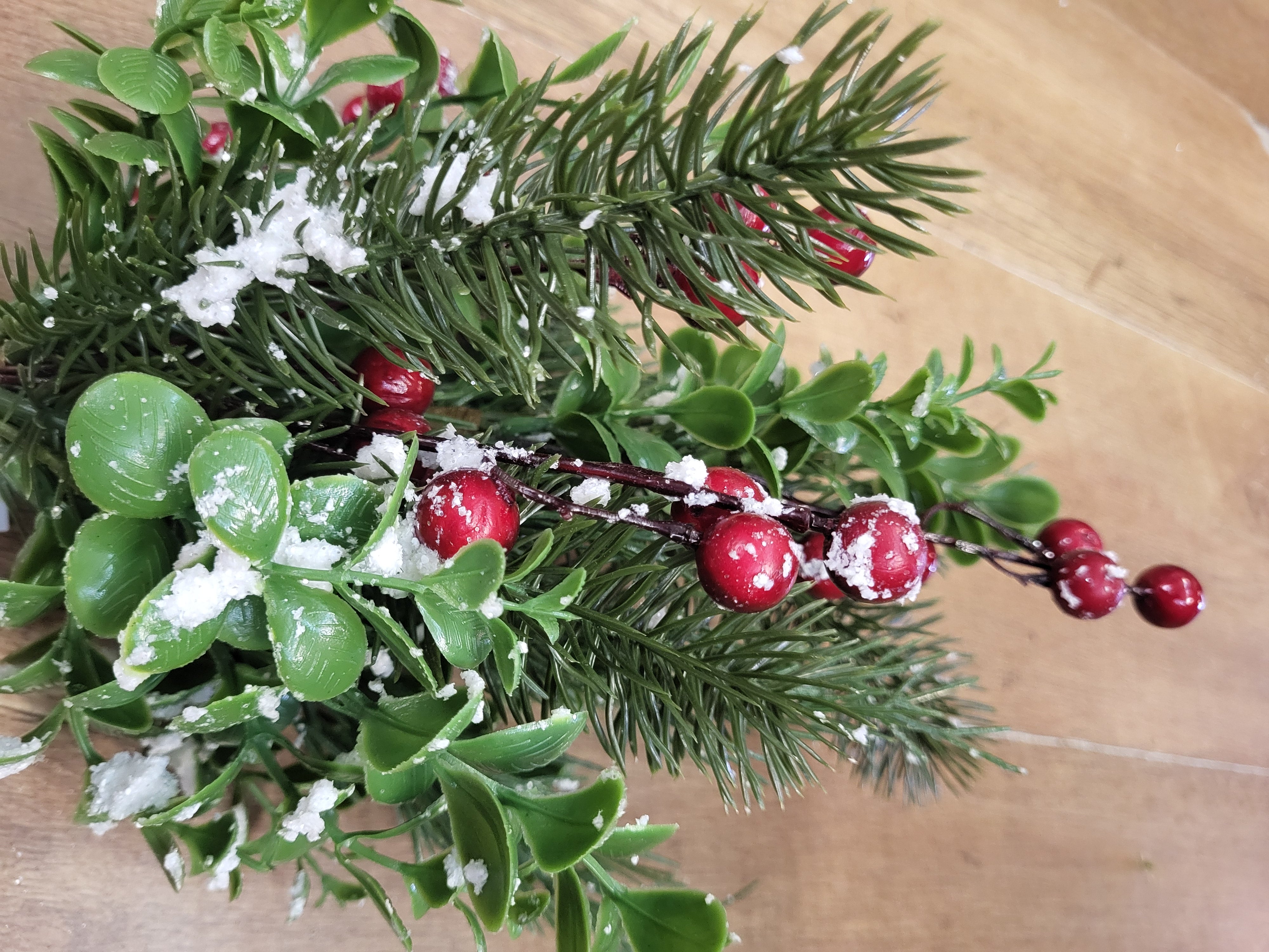 Snowberry/eucalyptus/pine bush image 6