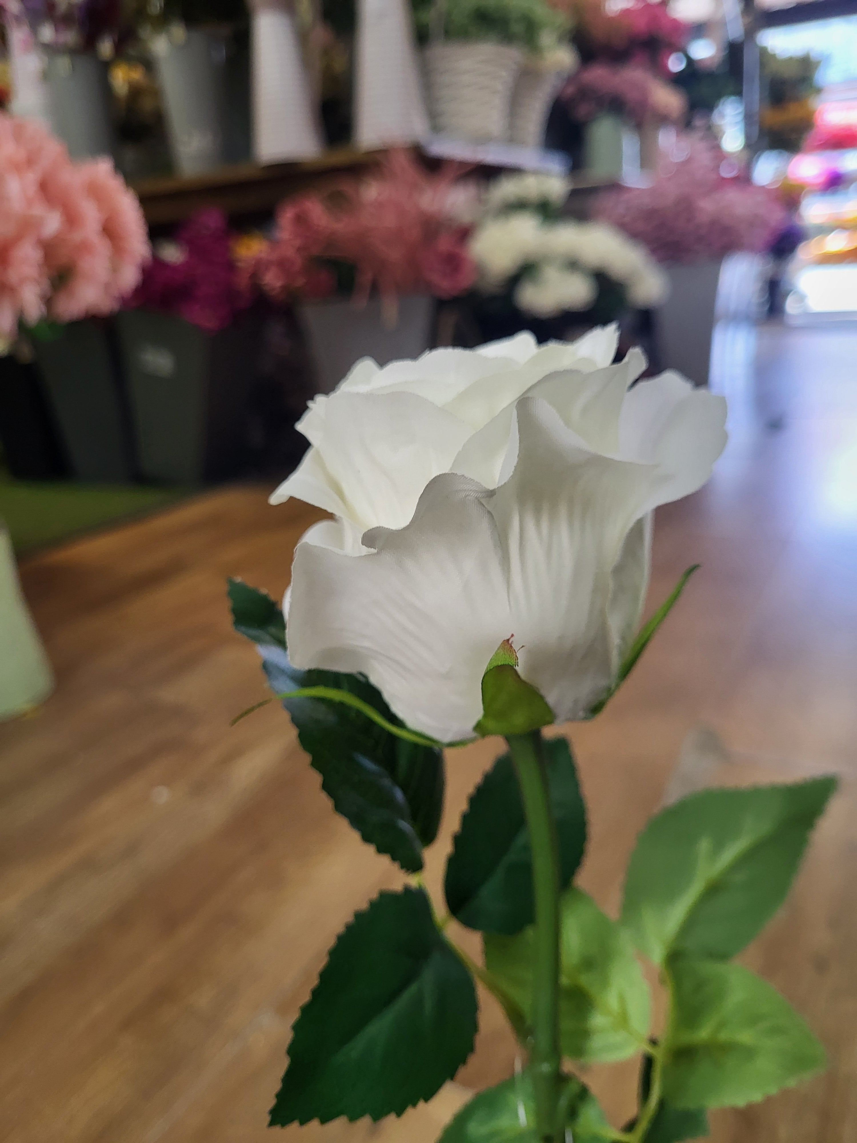 Ivory Lila Rose  image 1