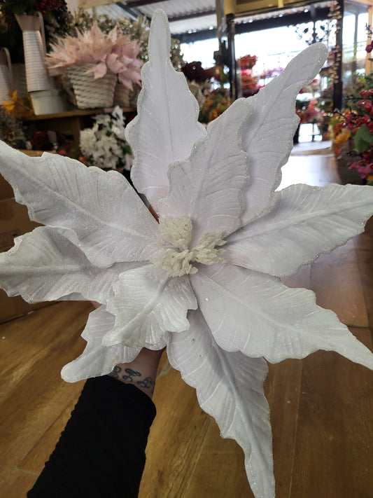 Luxury 50cm white velvet with glittered edge giant single poinsettia image 0