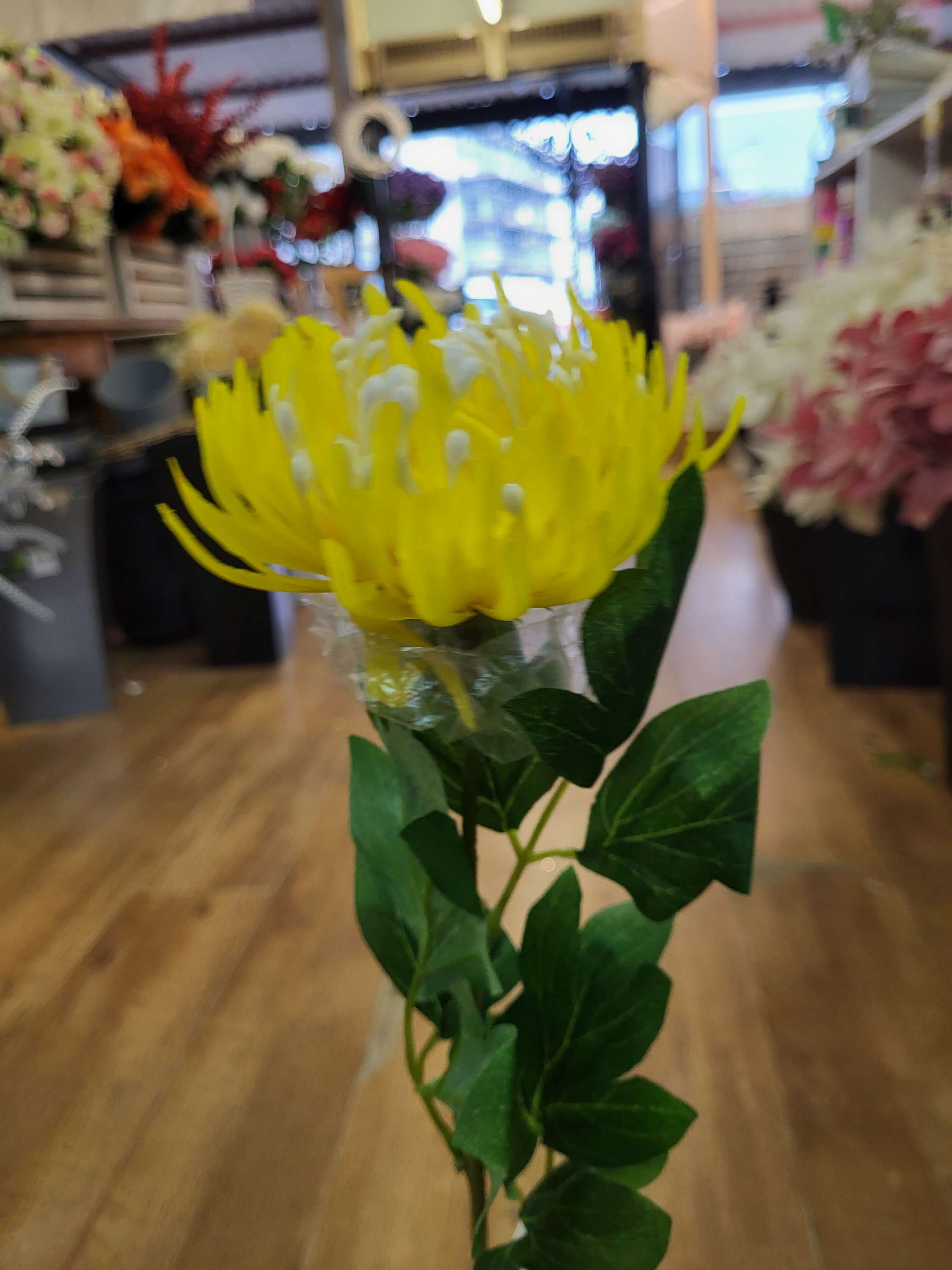 Long stem single chrysanthemum  - 3 colours available image 10