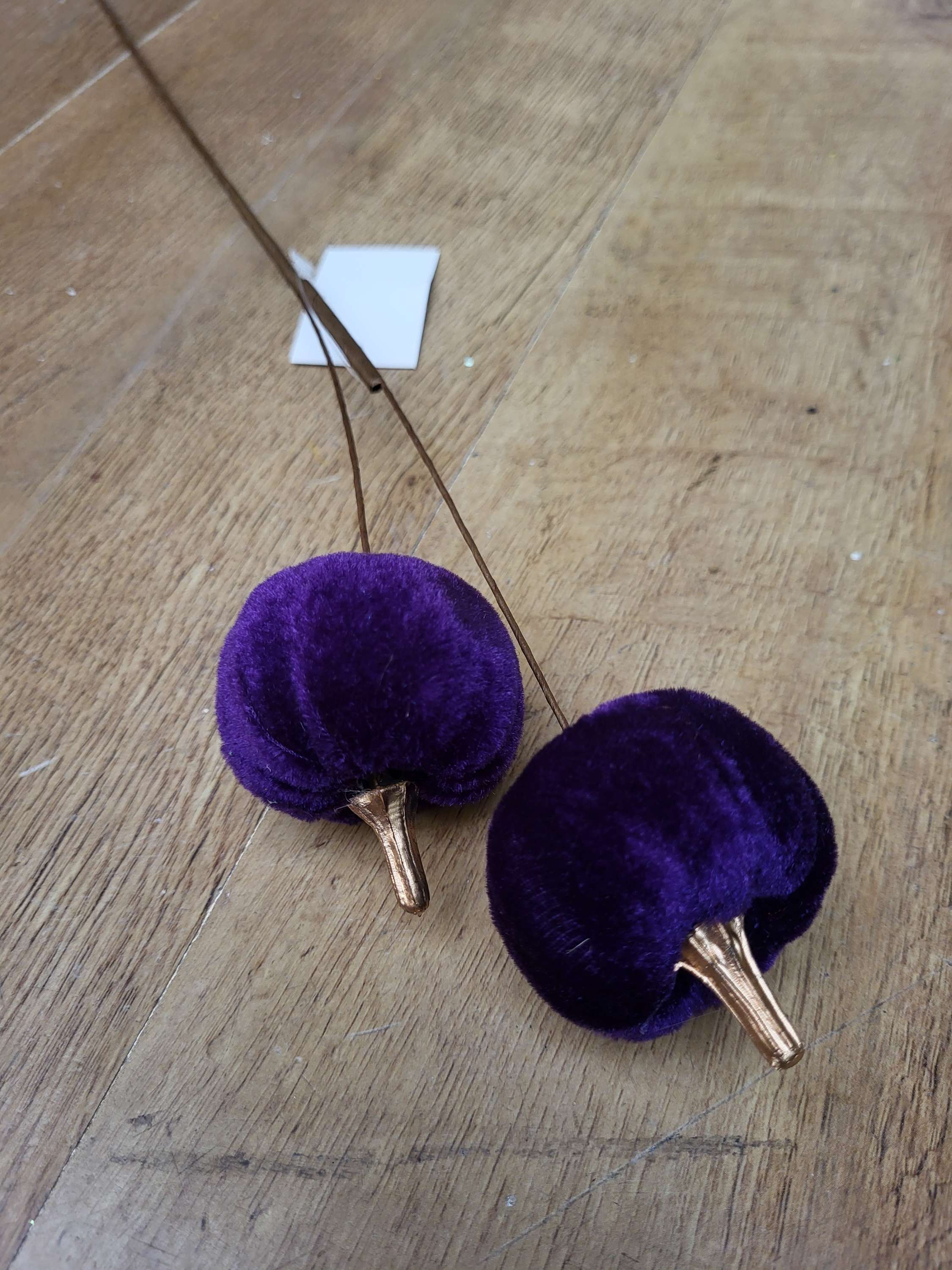 Medium length purple velvet pumpkin stem  image 1