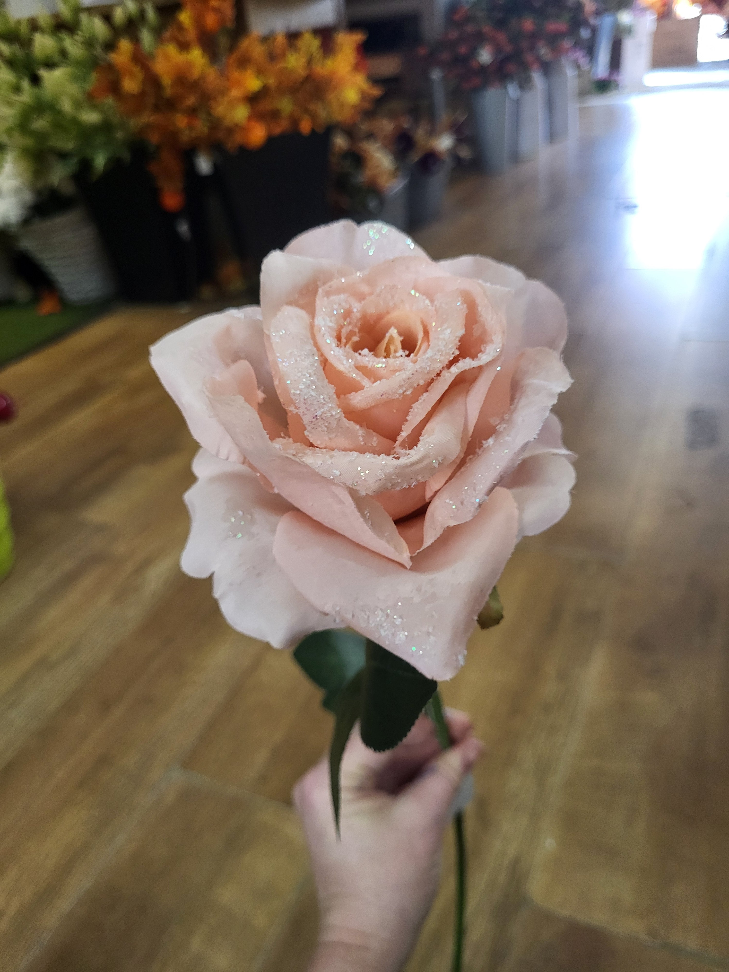 Long stem single frosted soft pink Rose image 3