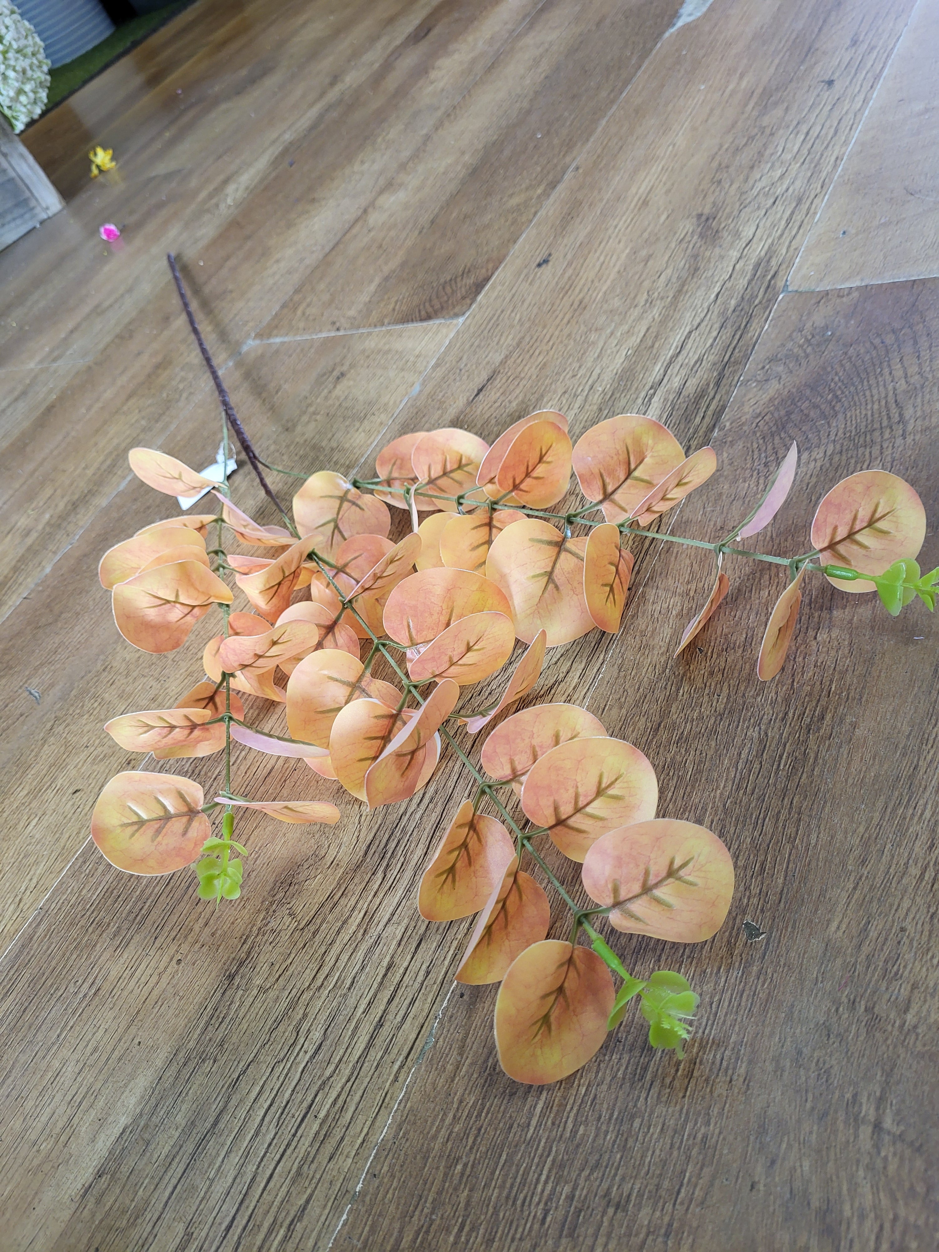 Long stem orange/yellow eucalyptus spray image 6