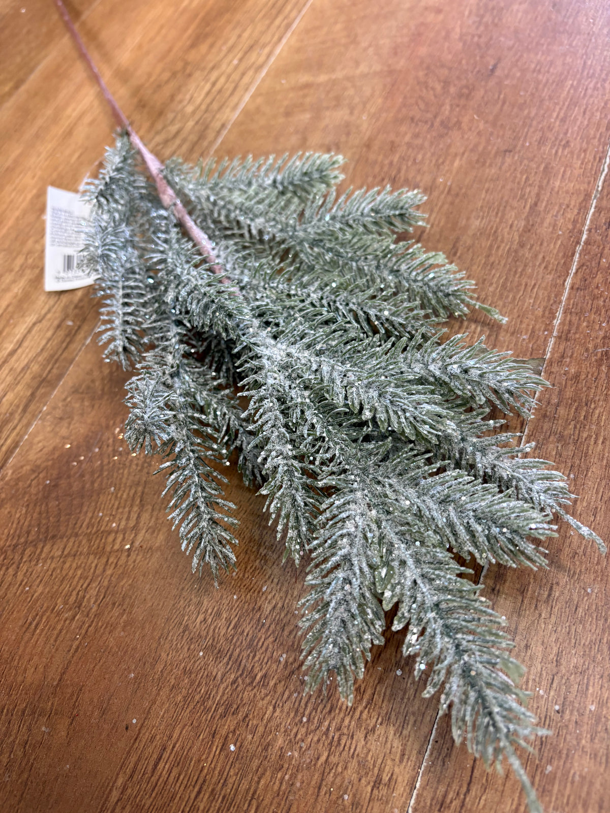 Long stem frosted winter greenery
