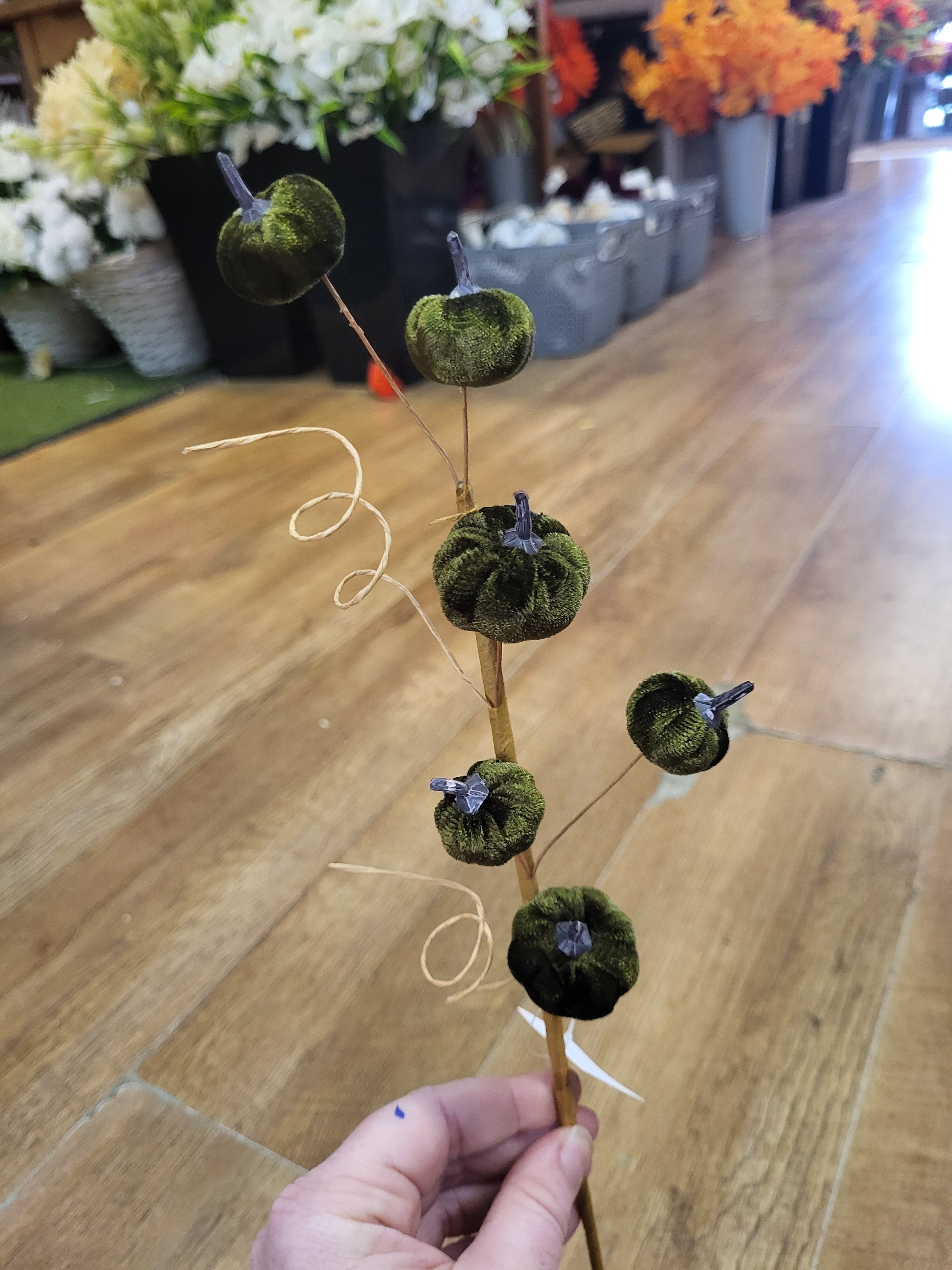 Green velvet miniature pumpkin stem  image 0