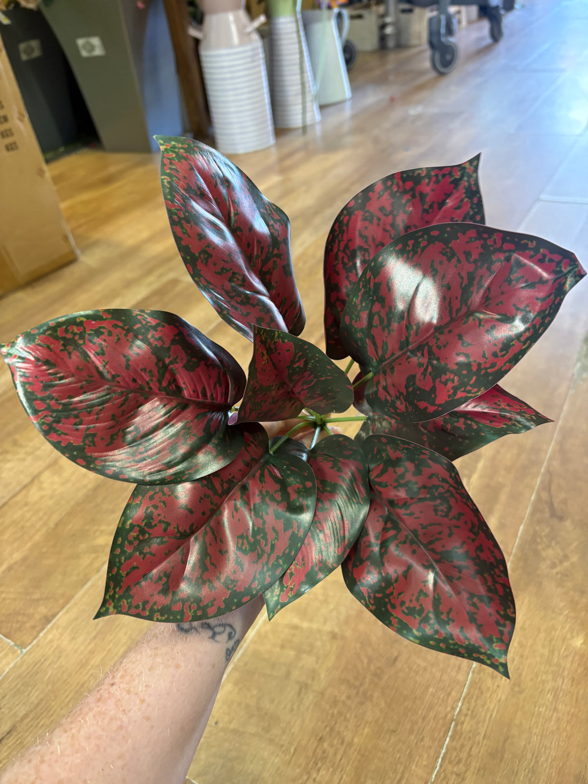 Burgundy and green large leaf bunch