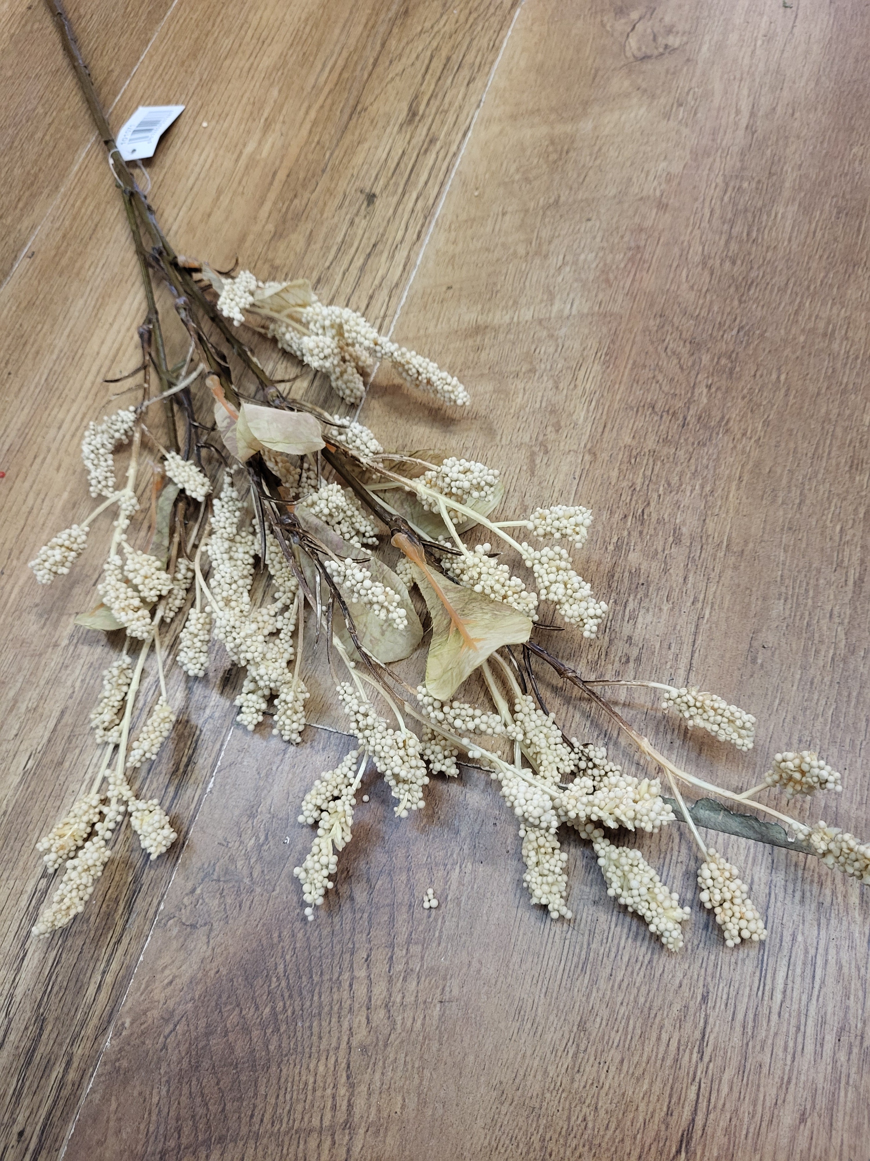 Dried inspired cream grain sorghum spray image 1