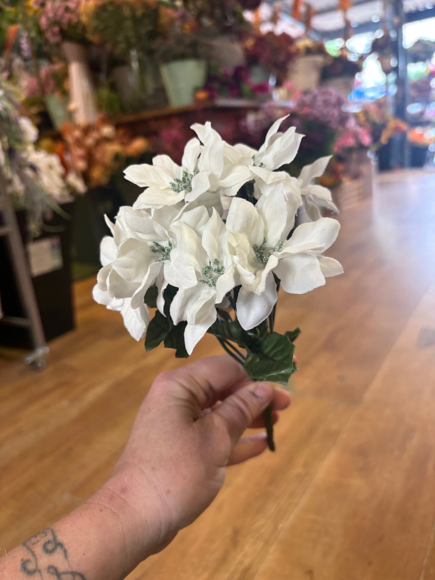 Mini poinsettia bunch - 4 colours available