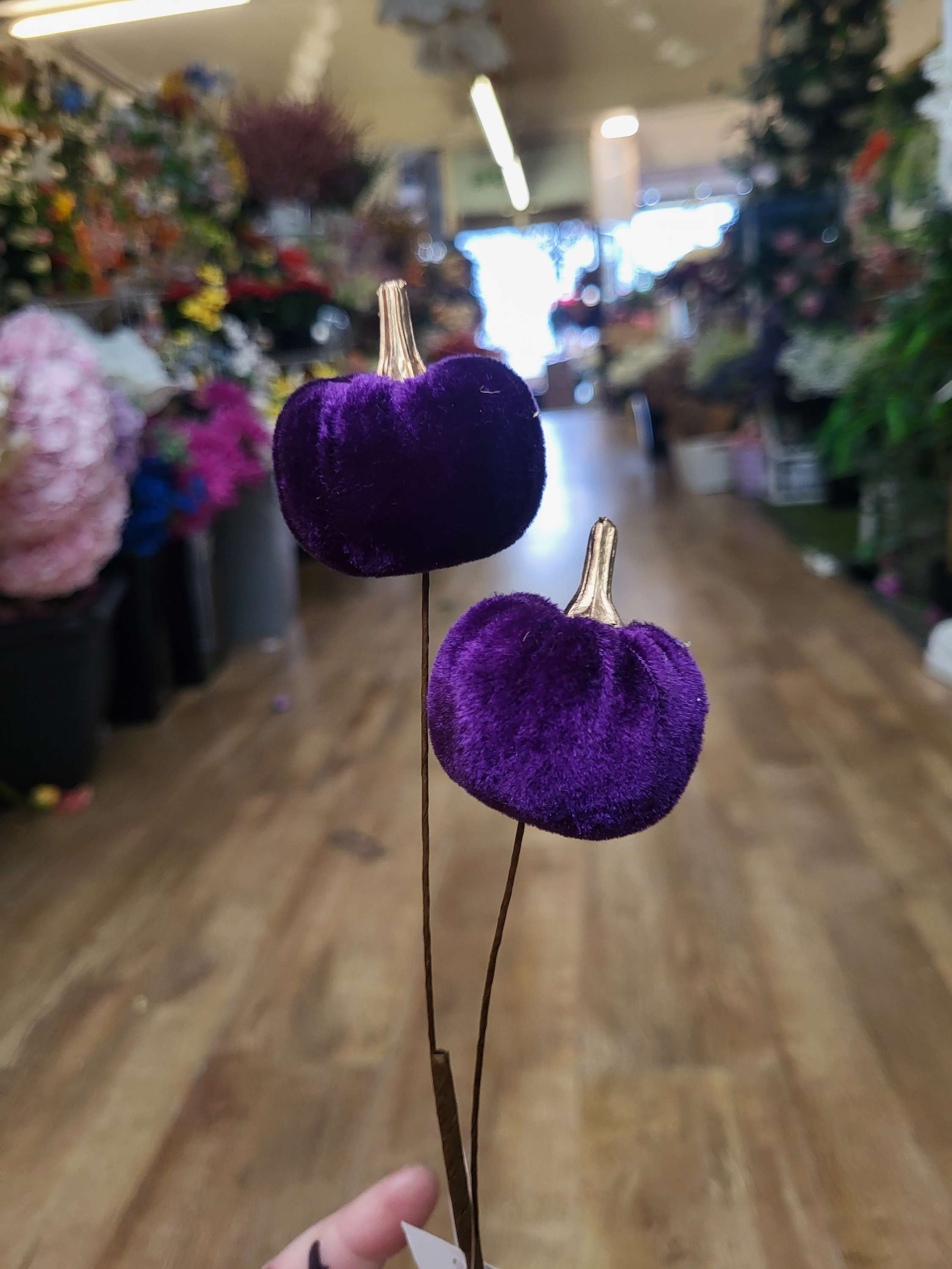 Medium length purple velvet pumpkin stem  image 0