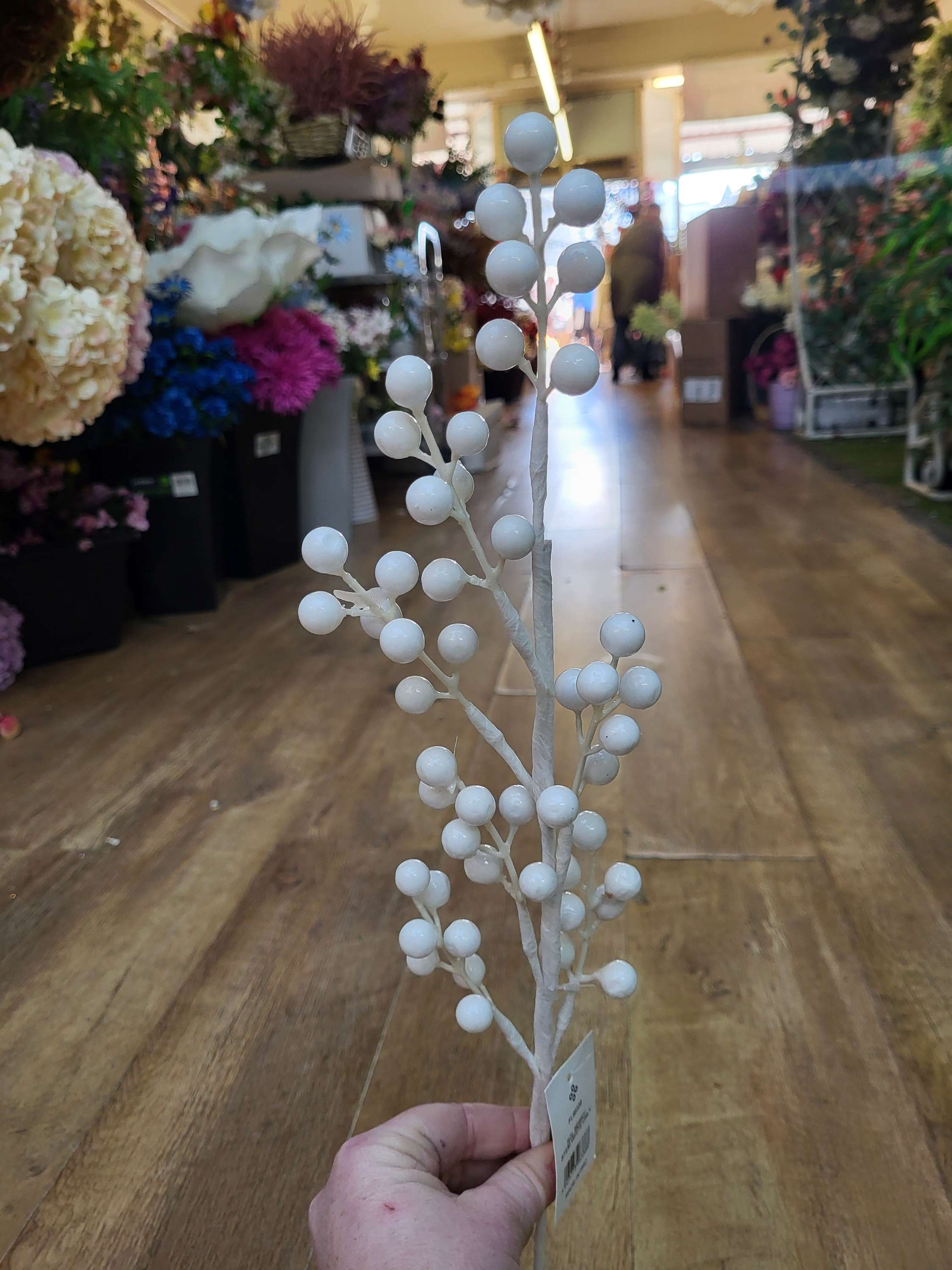 White berry stem image 2