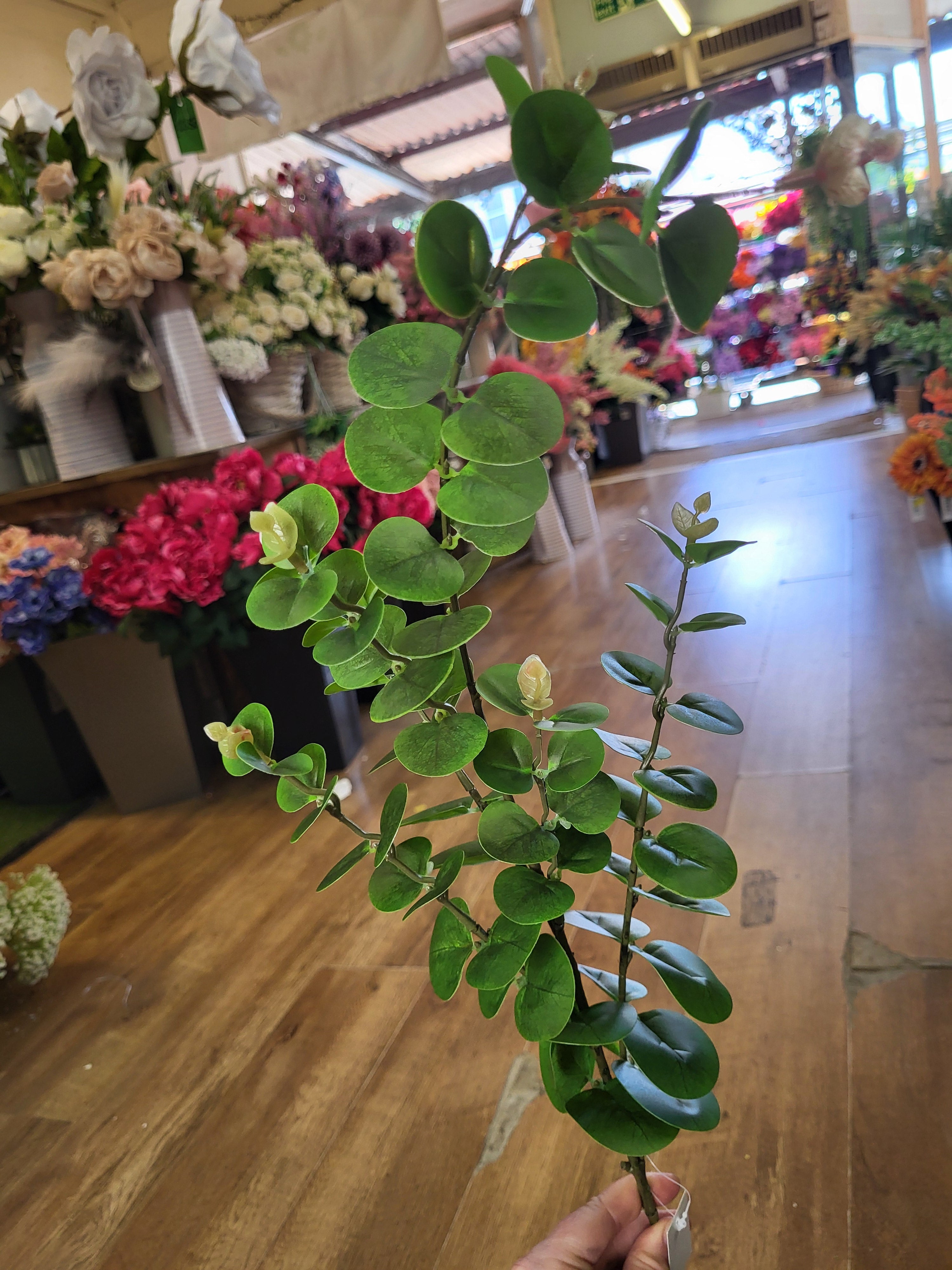 Long stem eucalyptus spray  image 0